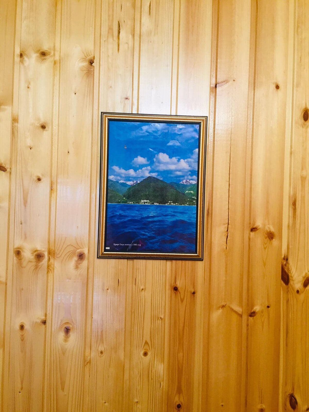 "Для двоих Арабика" дом под-ключ в Гаграх, Гагра — фото 9