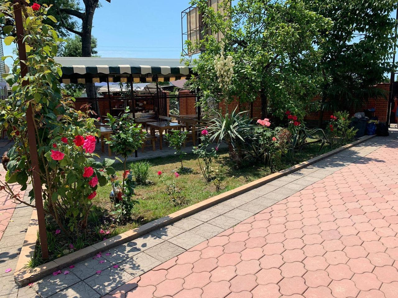 Гостевой дом Золотая рыбка, Пицунда — фото 14