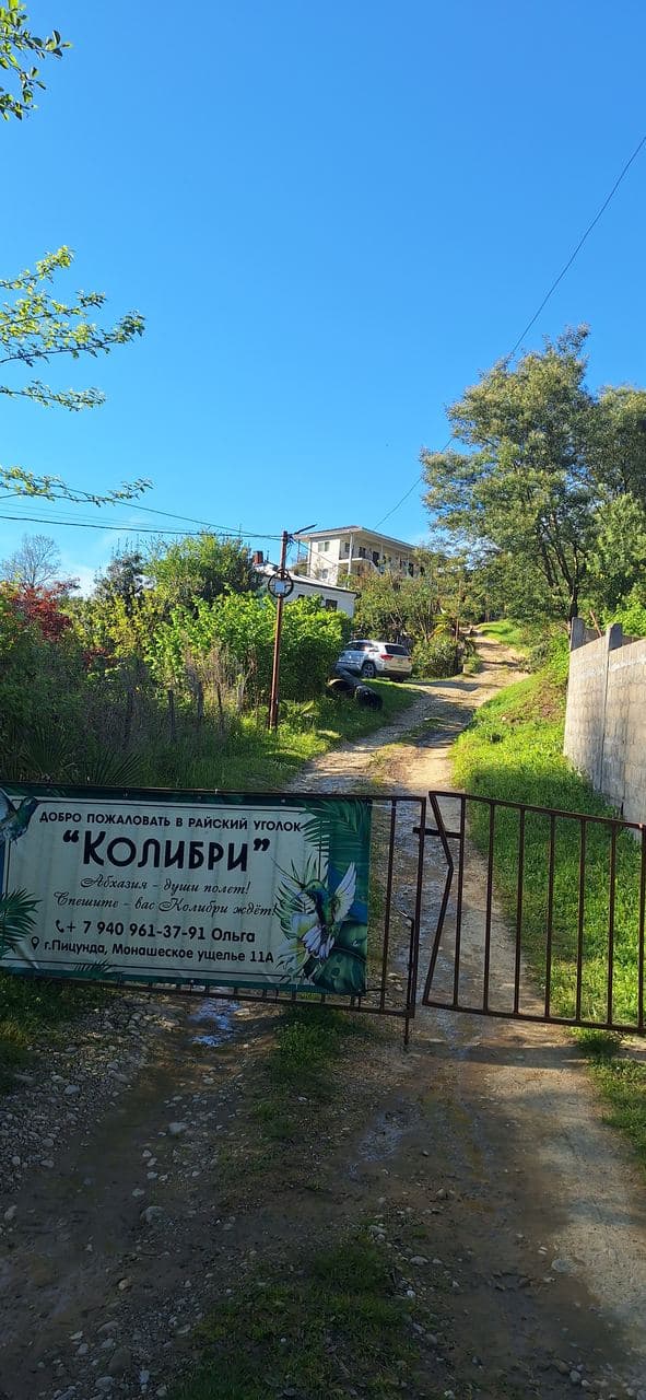 КОЛИБРИ, Пицунда — фото 7