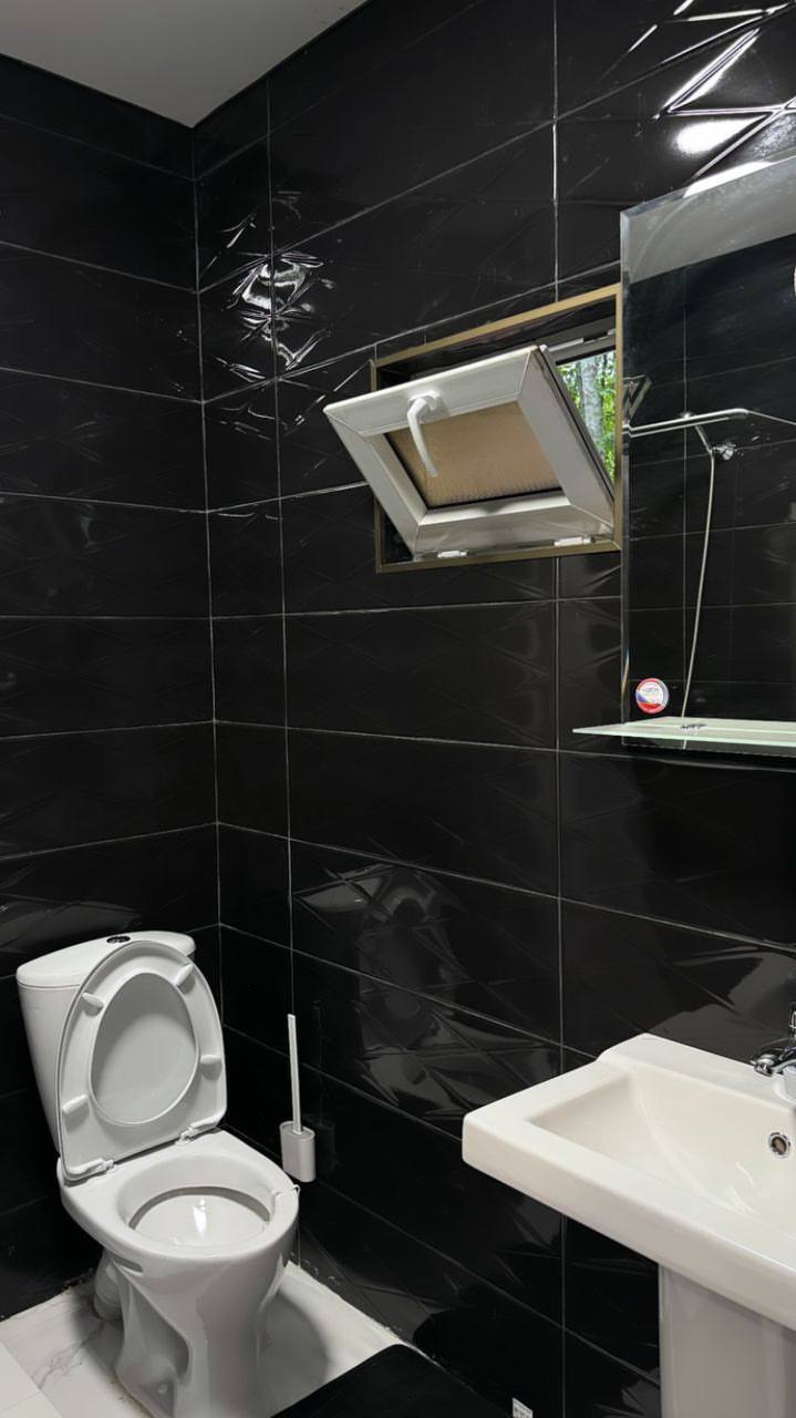 Гостевой дом Дельфин, Агудзера — фото 9