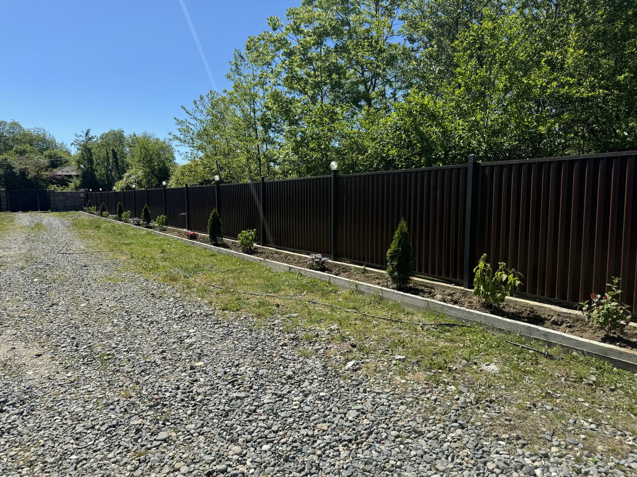 Гостевой дом Дельфин, Агудзера — фото 3