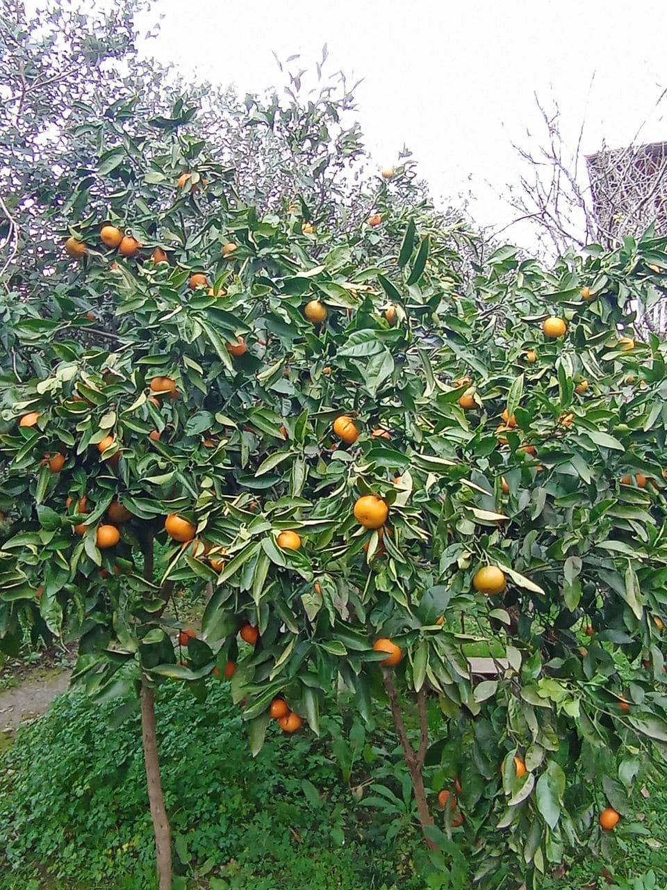 Гостевой дом " Надежда", Очамчыра — фото 3