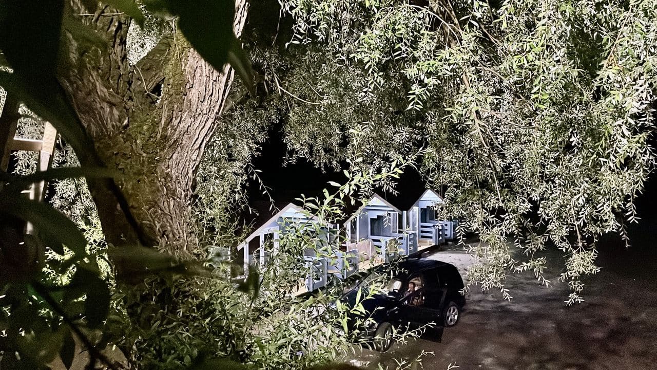 Aapsta Village, Гудаута — фото 8