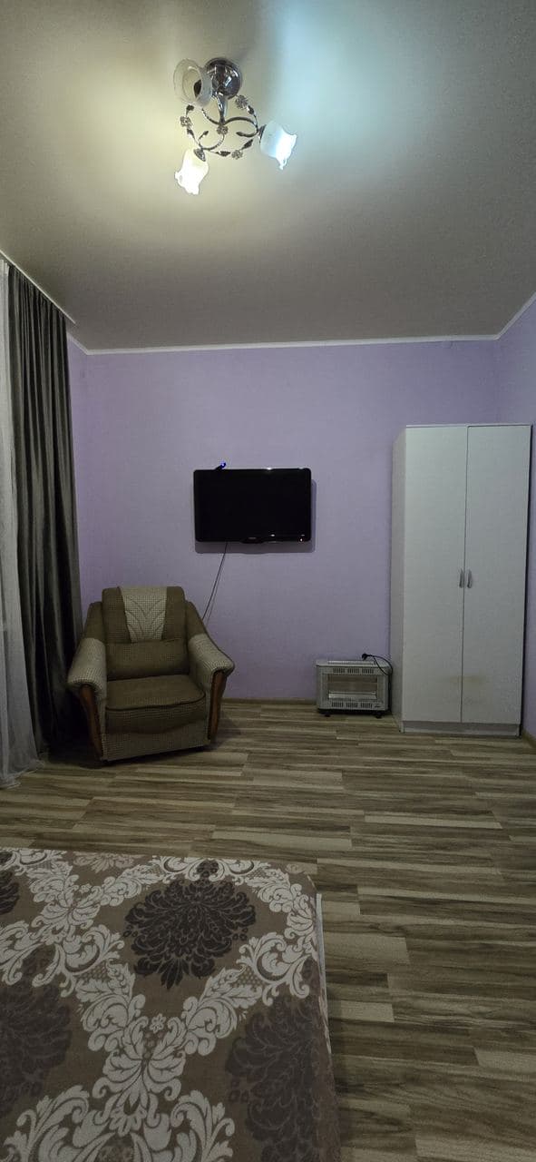 В тени  киви, Сухум — фото 6