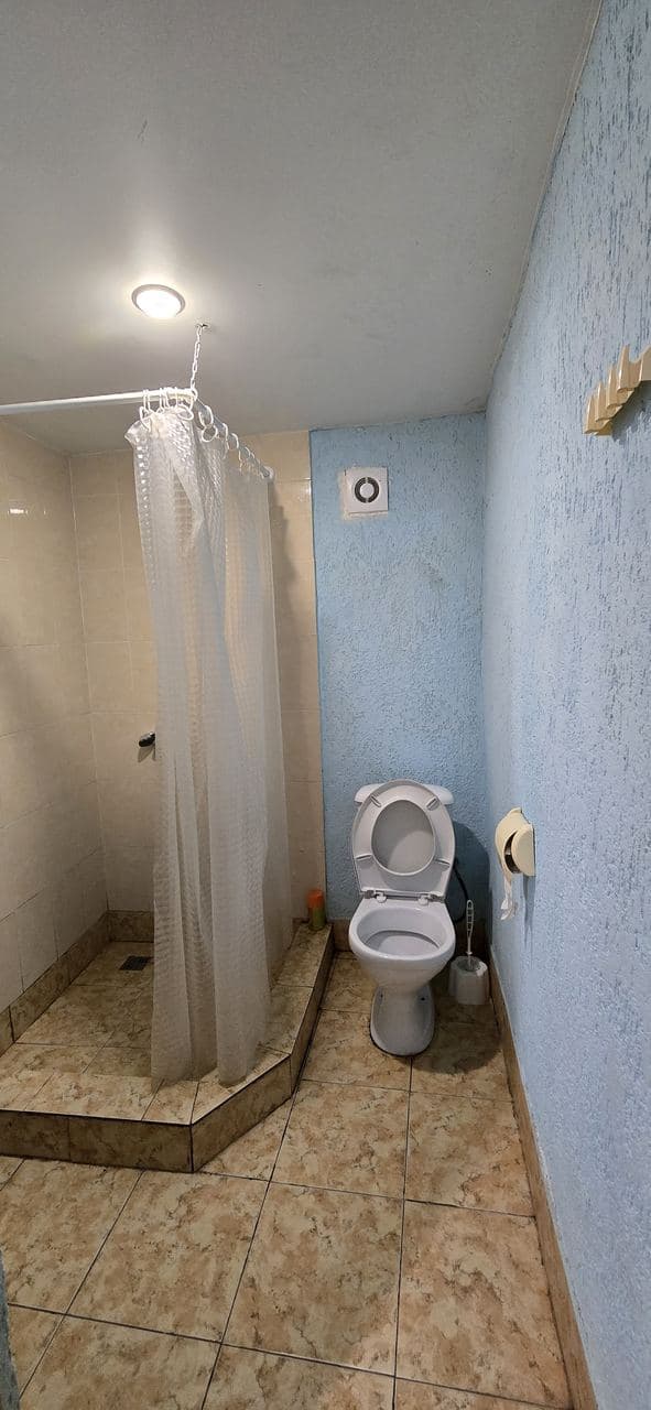 В тени  киви, Сухум — фото 10
