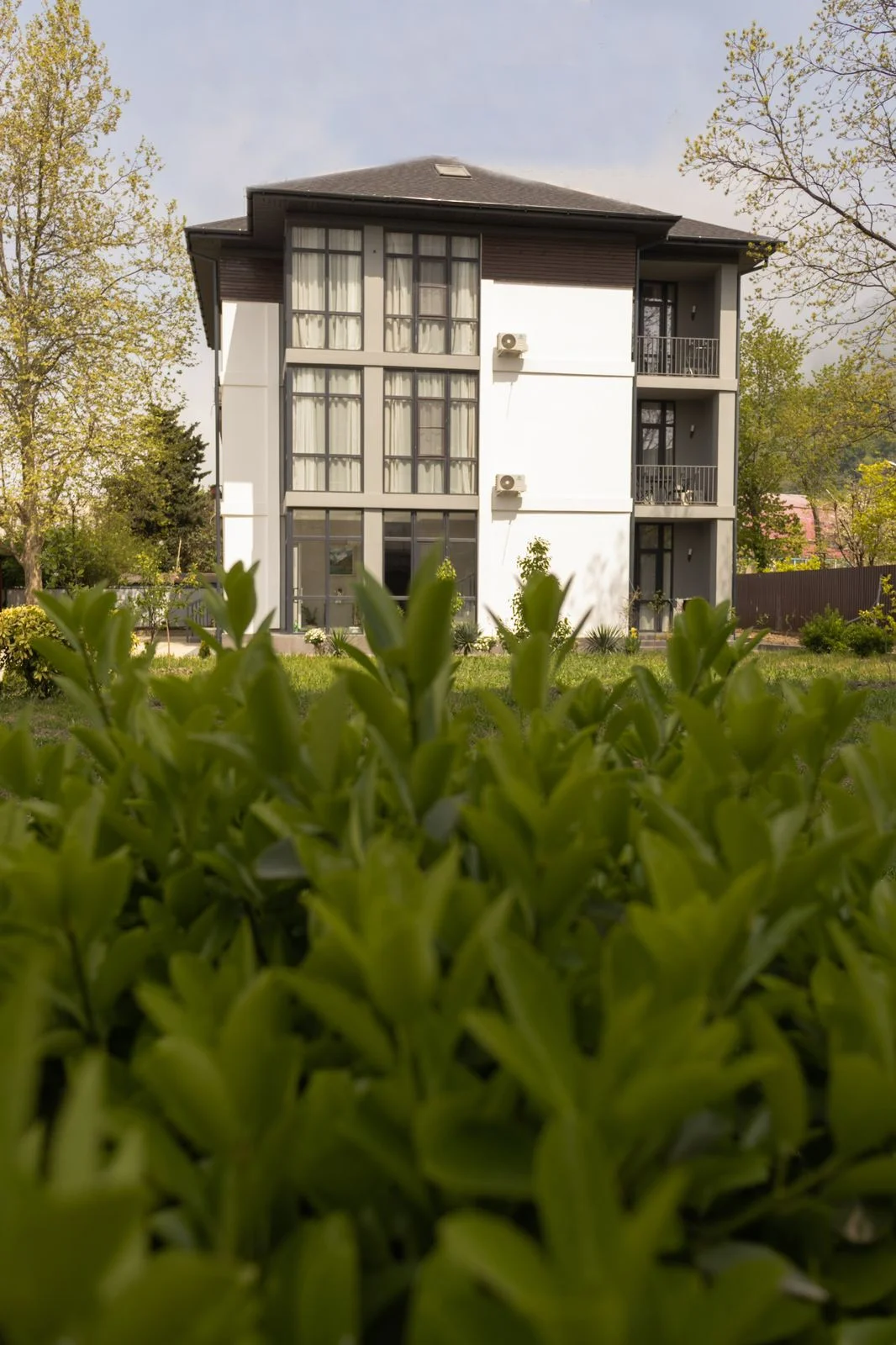 Вилла Абазгия, Гагра — фото 4