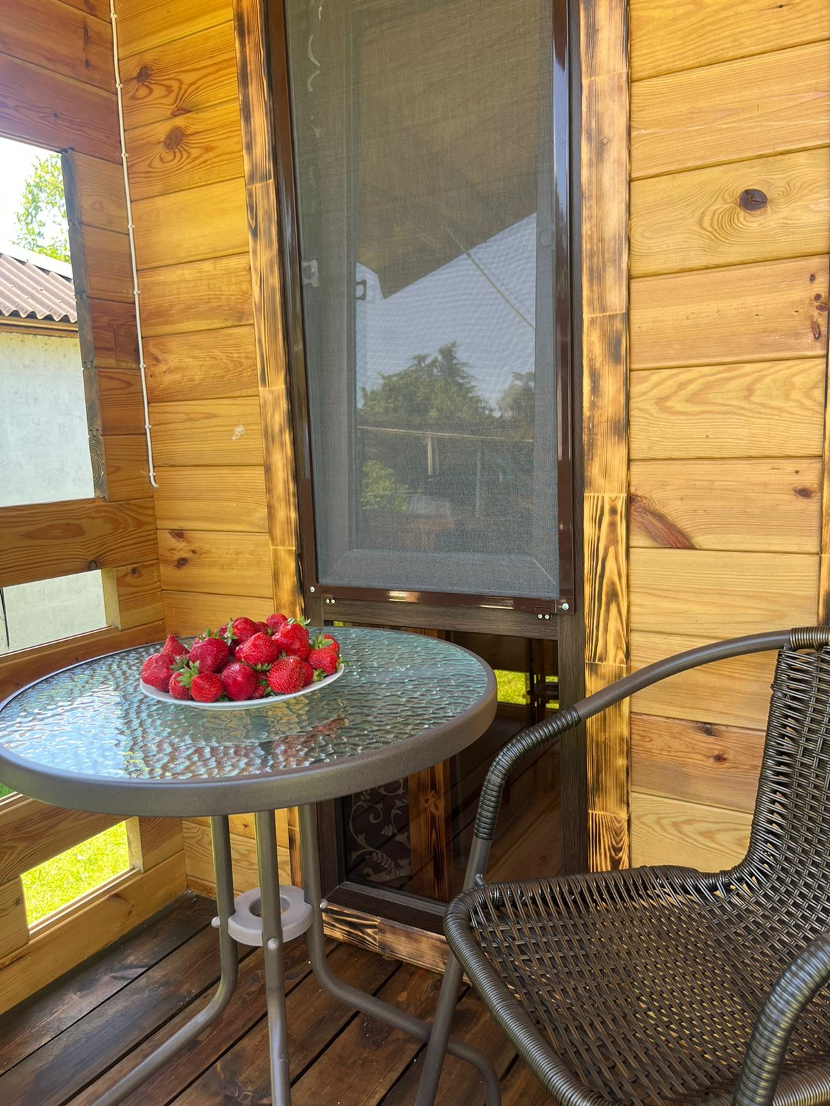 Гостевой дом Оксана, Пицунда — фото 3