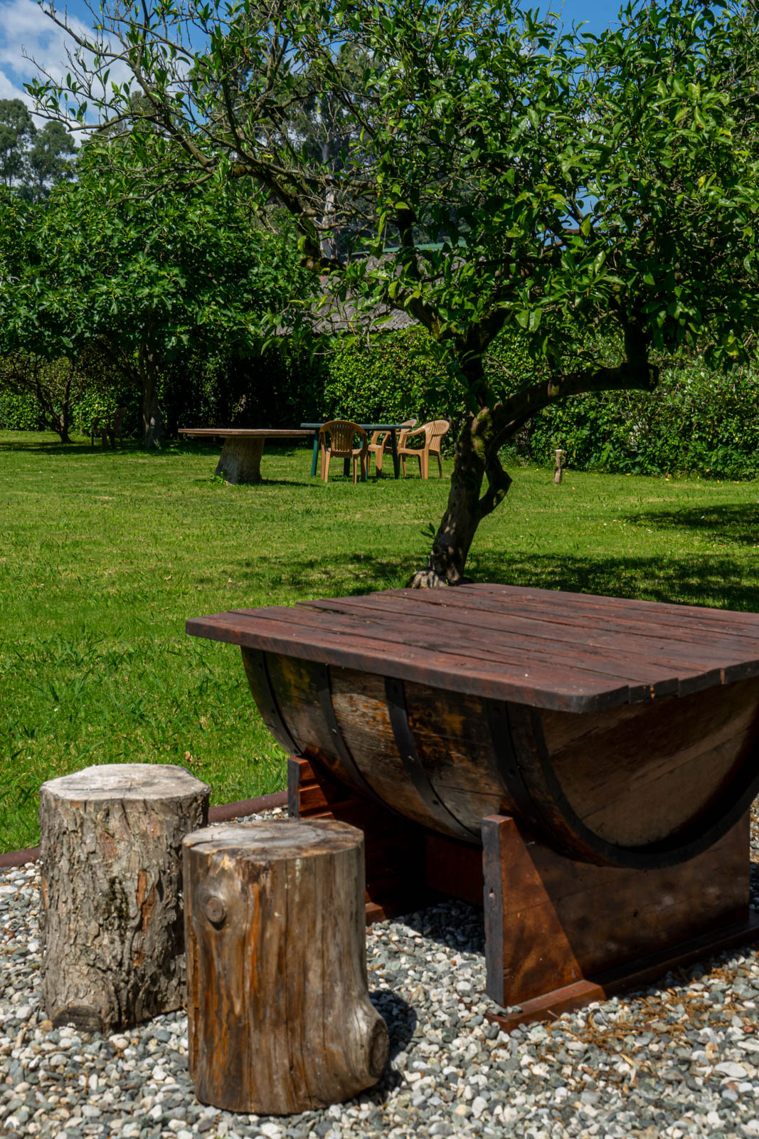 Гостевой дом Оксана, Пицунда — фото 17