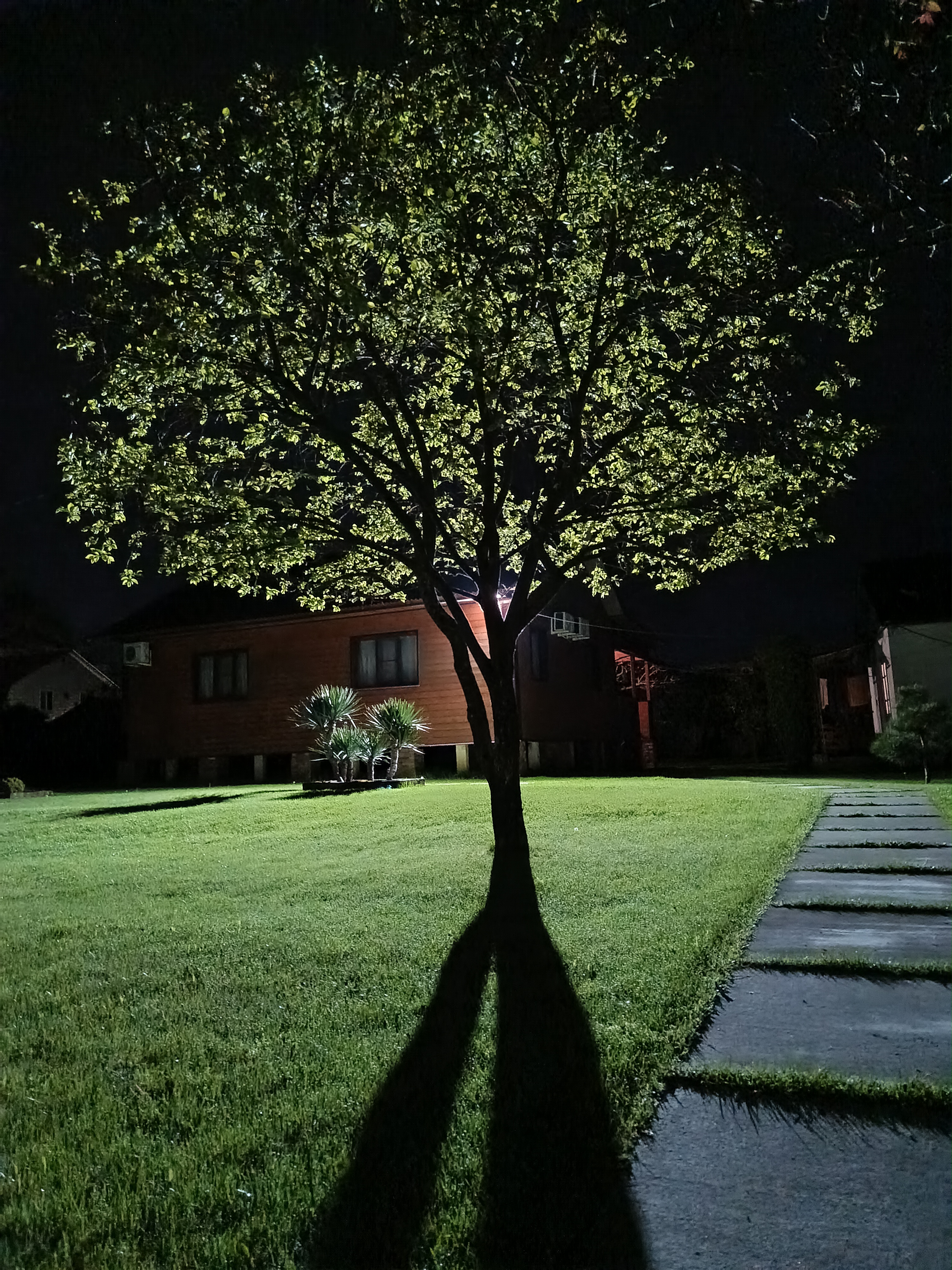 Гостевой дом Оксана, Пицунда — фото 19