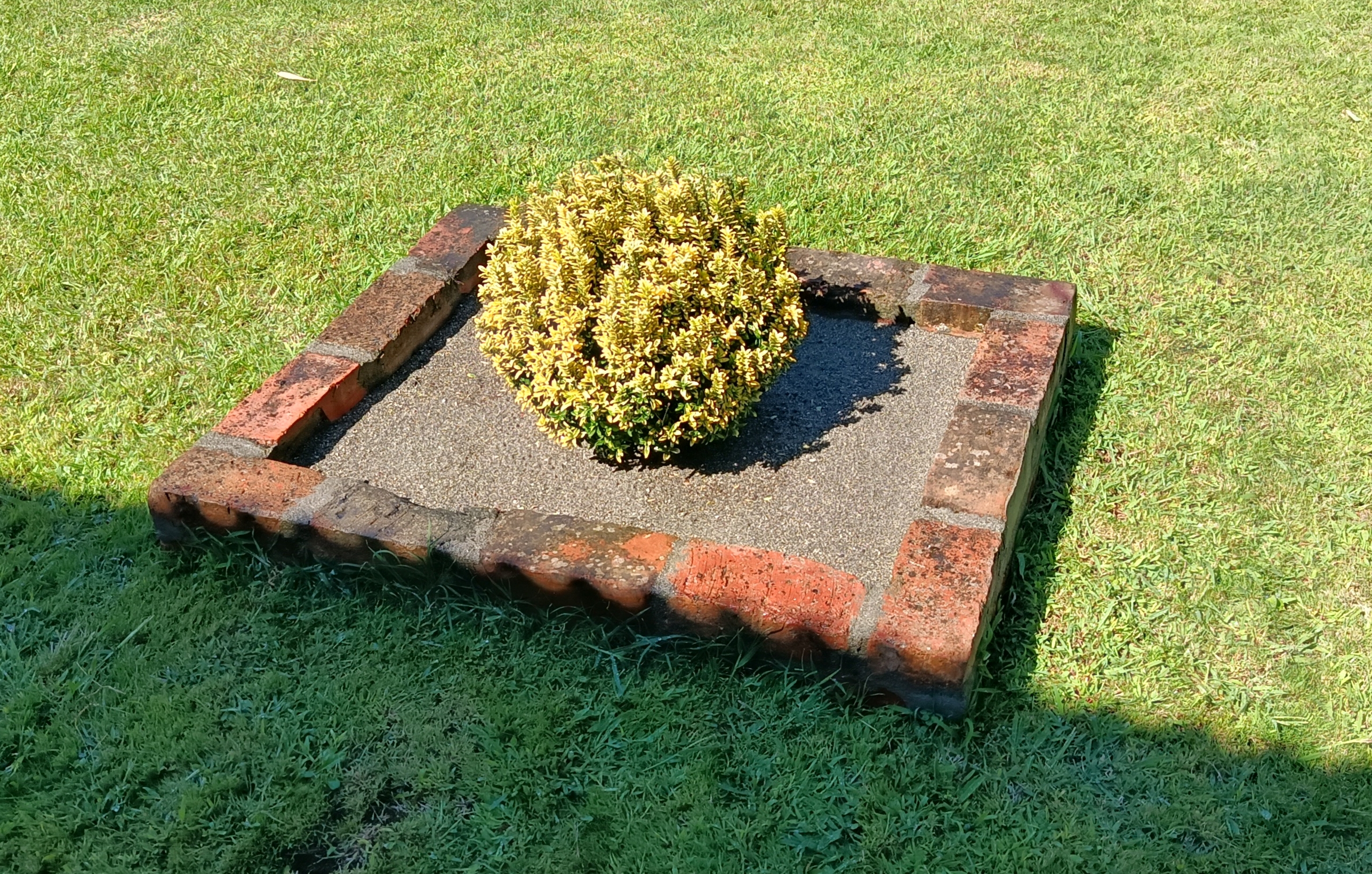 Гостевой дом Оксана, Пицунда — фото 14