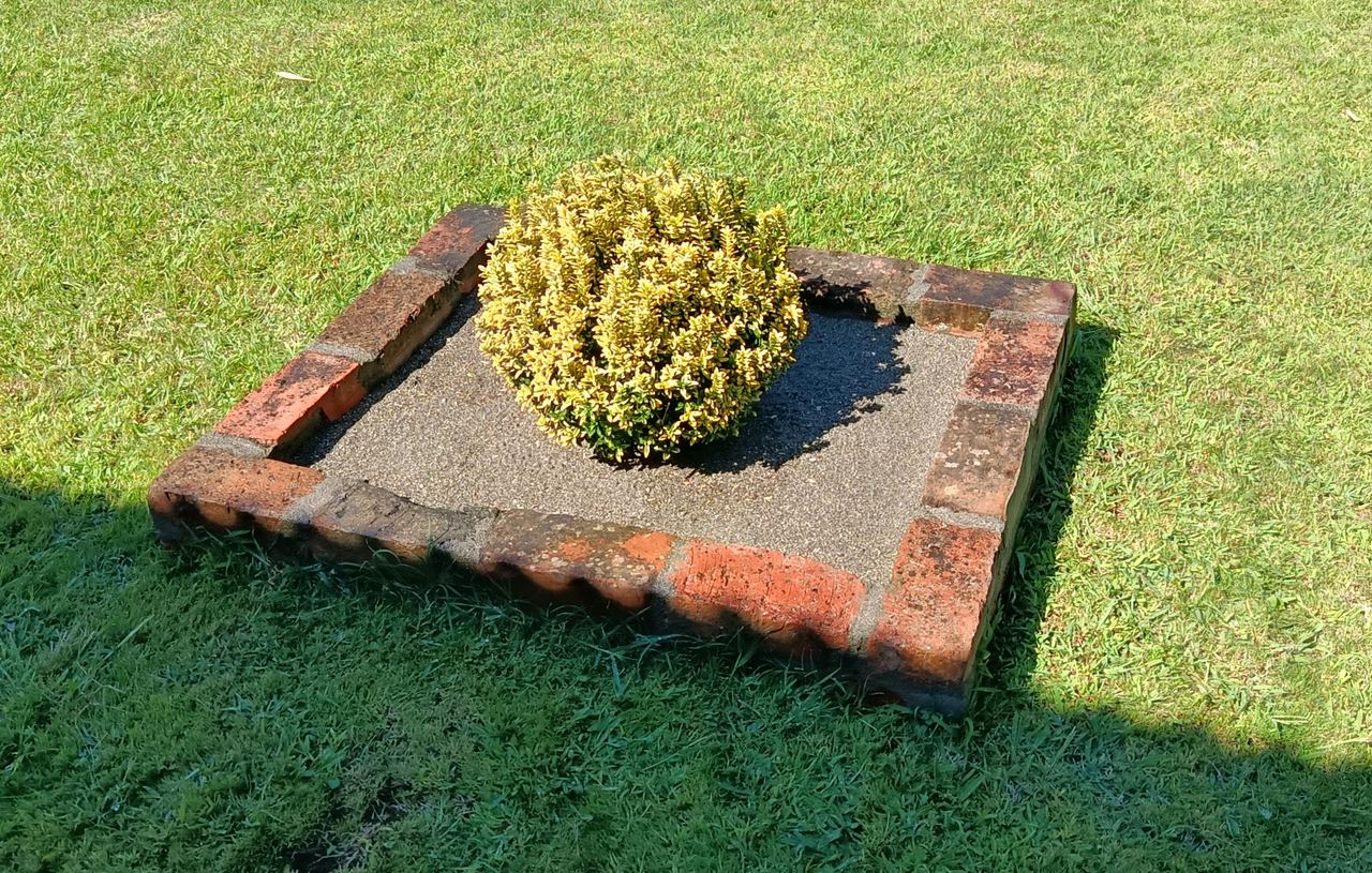 Гостевой дом Оксана, Пицунда — фото 14