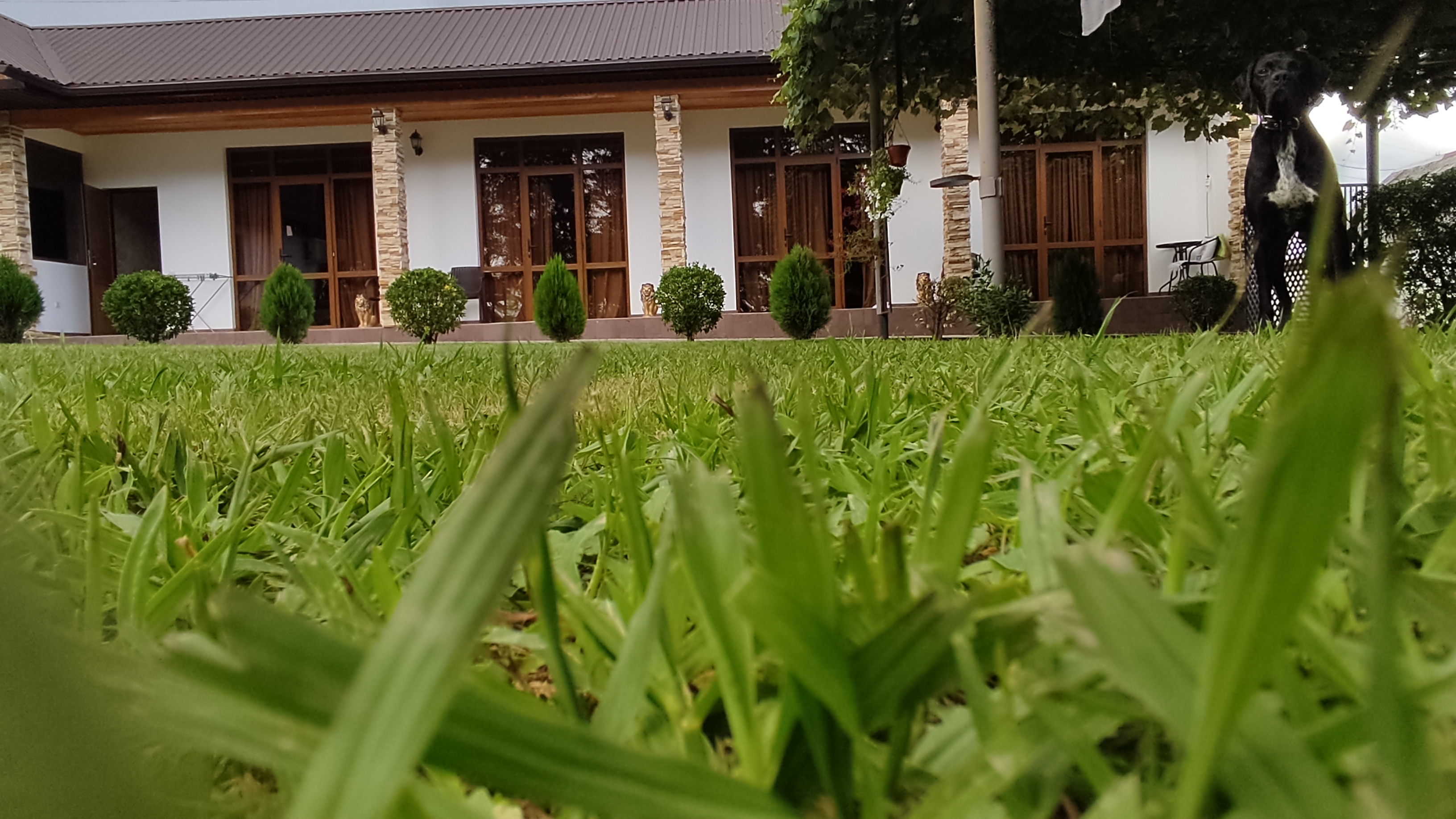 House Diamond, Гудаута — фото 5