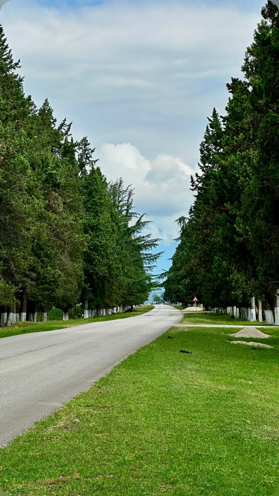 House Diamond, Гудаута — фото 19