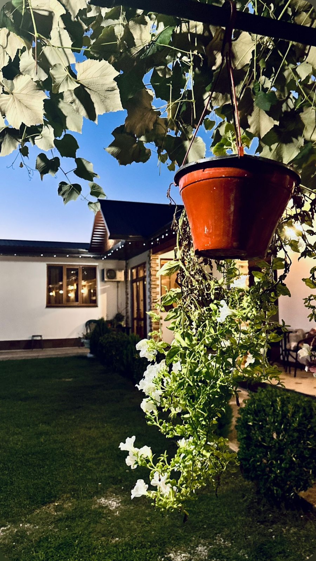 House Diamond, Гудаута — фото 18