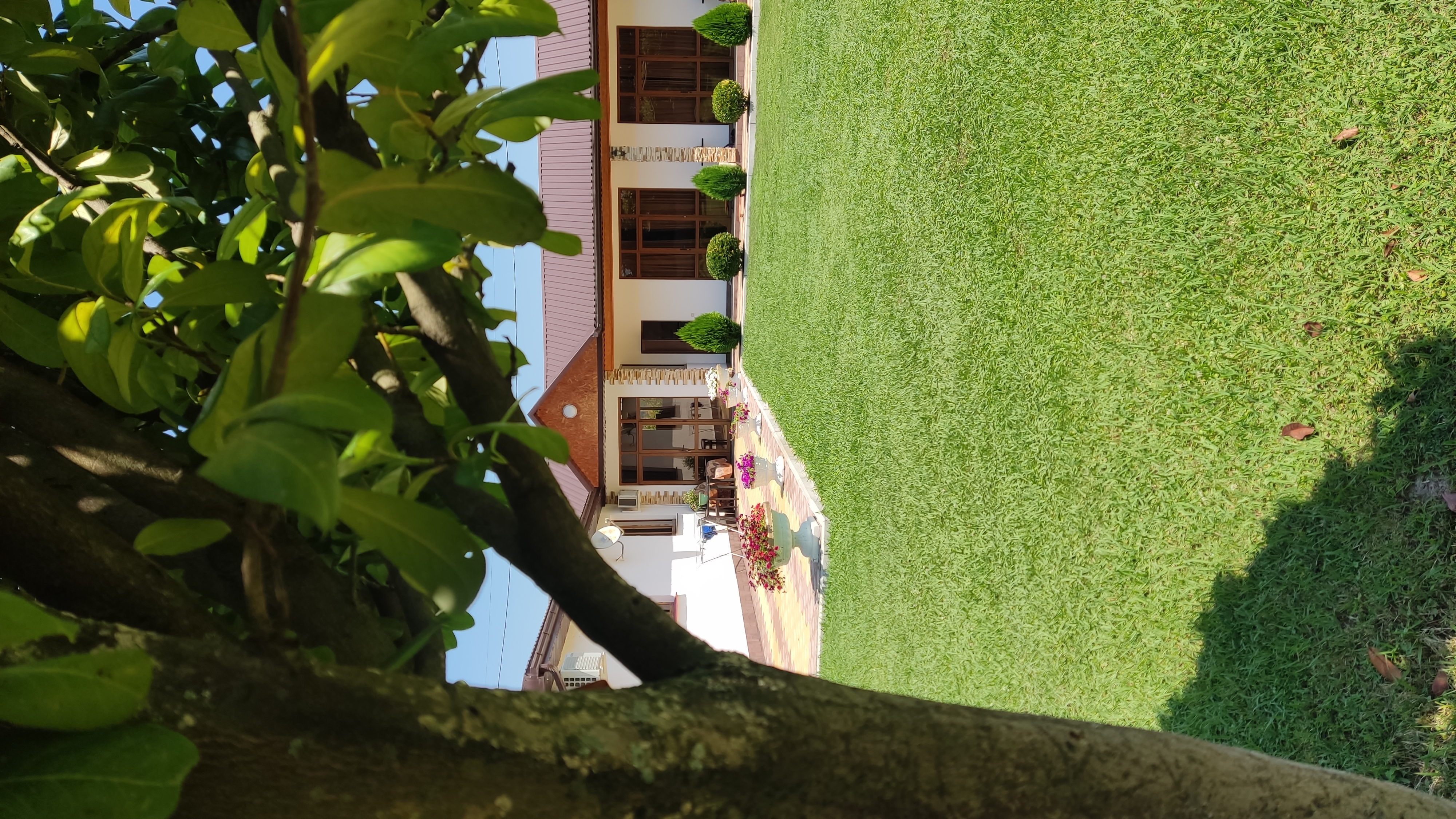 House Diamond, Гудаута