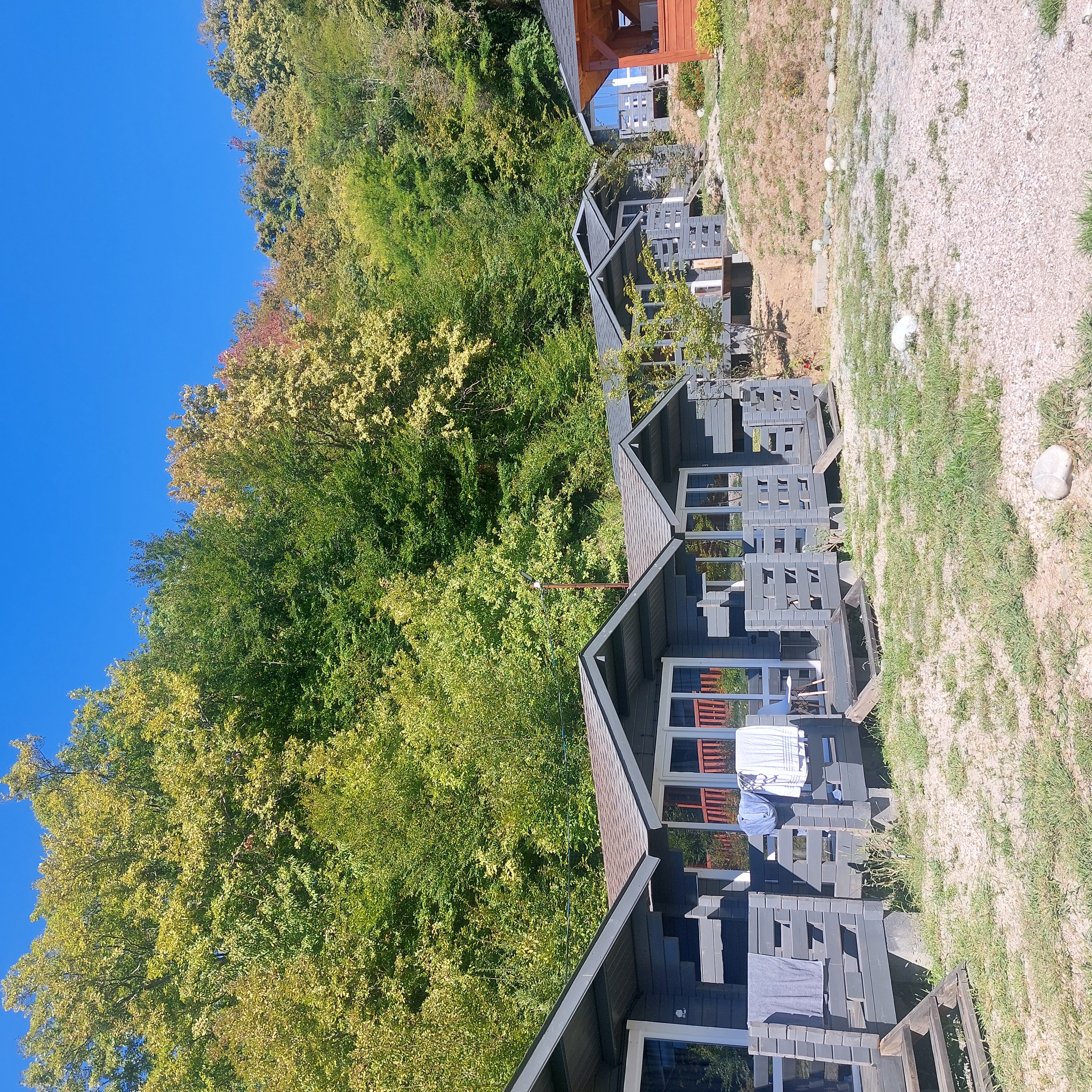 Ахьаца, Пицунда — фото 5