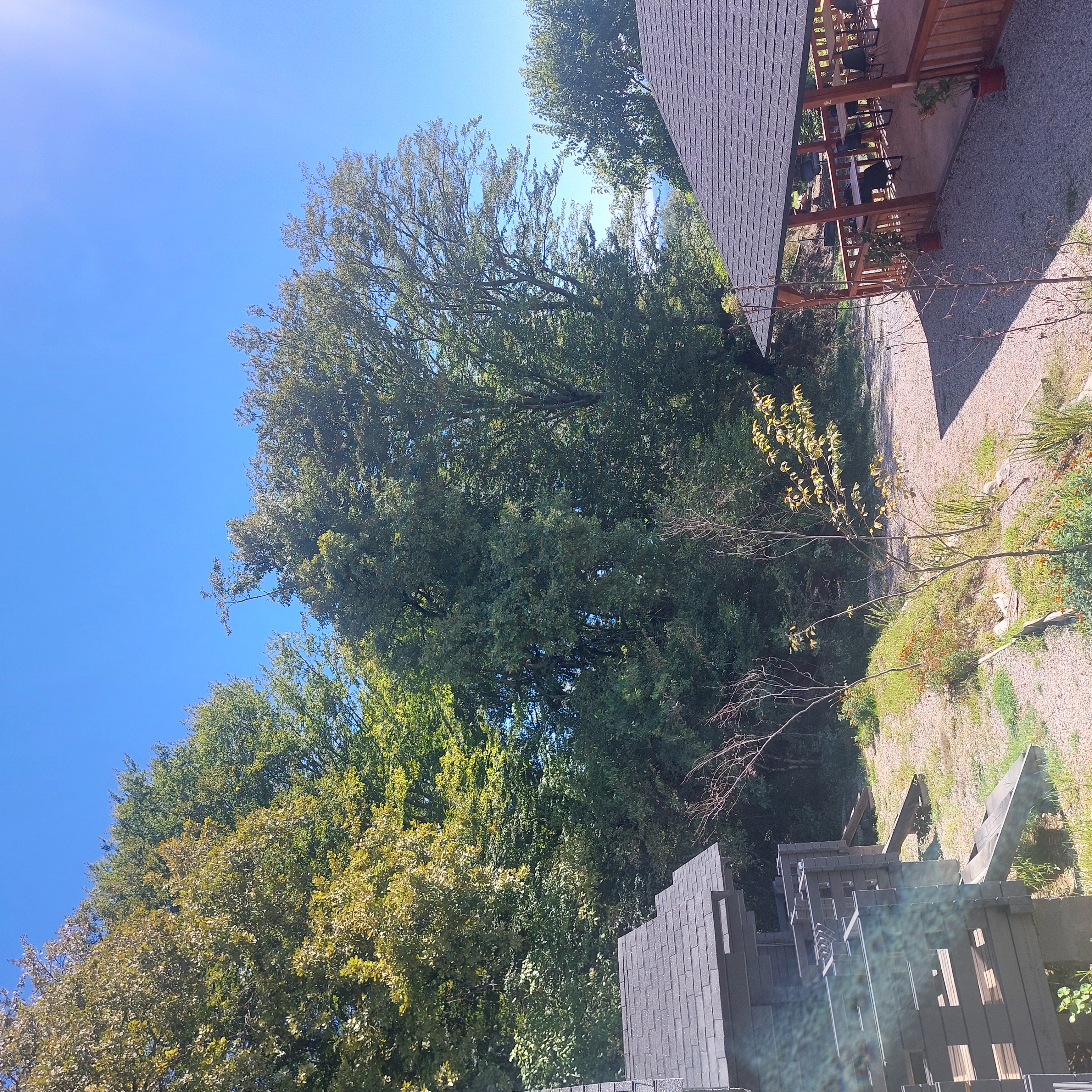 Ахьаца, Пицунда — фото 9