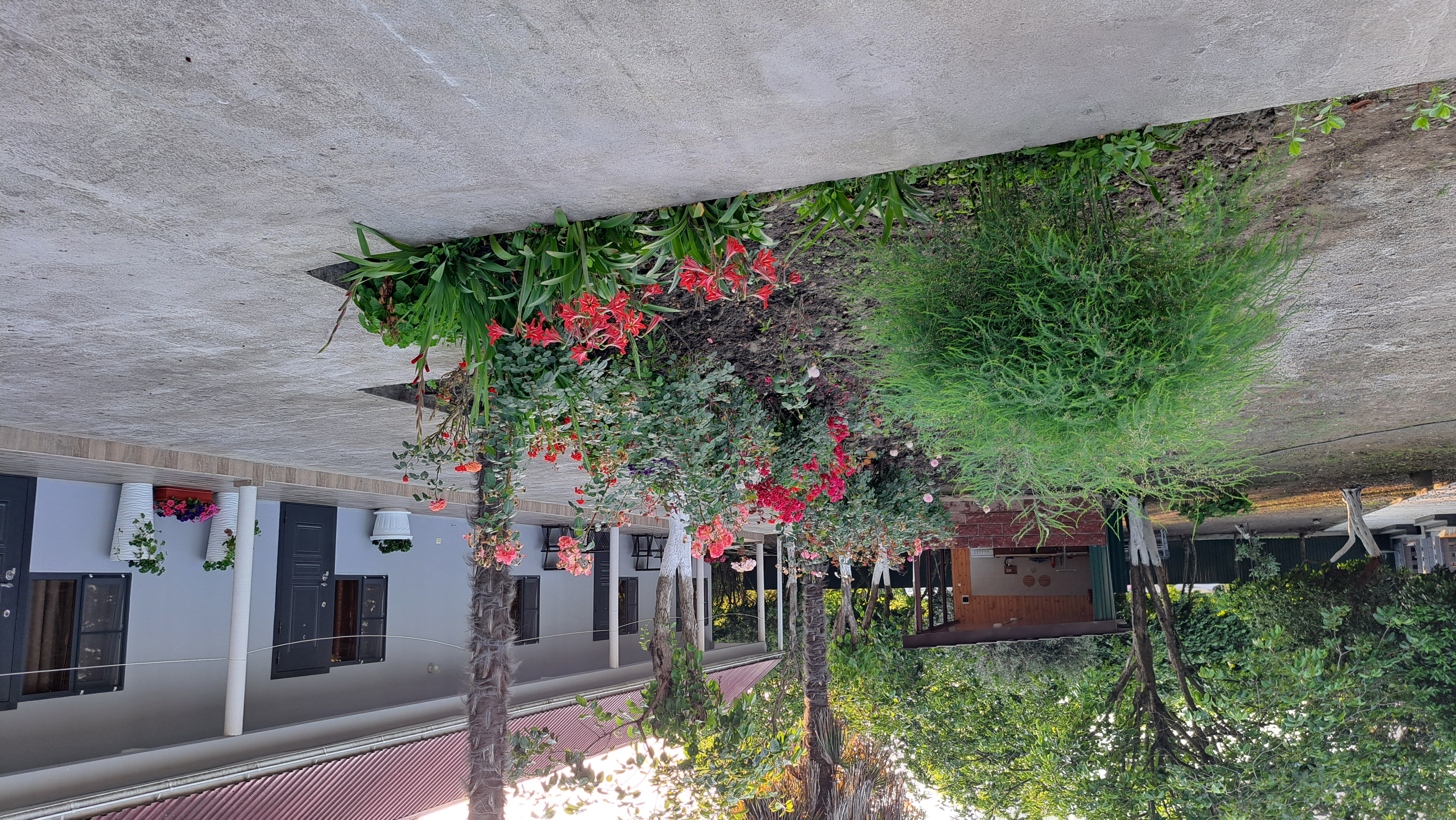 ДАНИЕЛЛА, Пицунда — фото 21