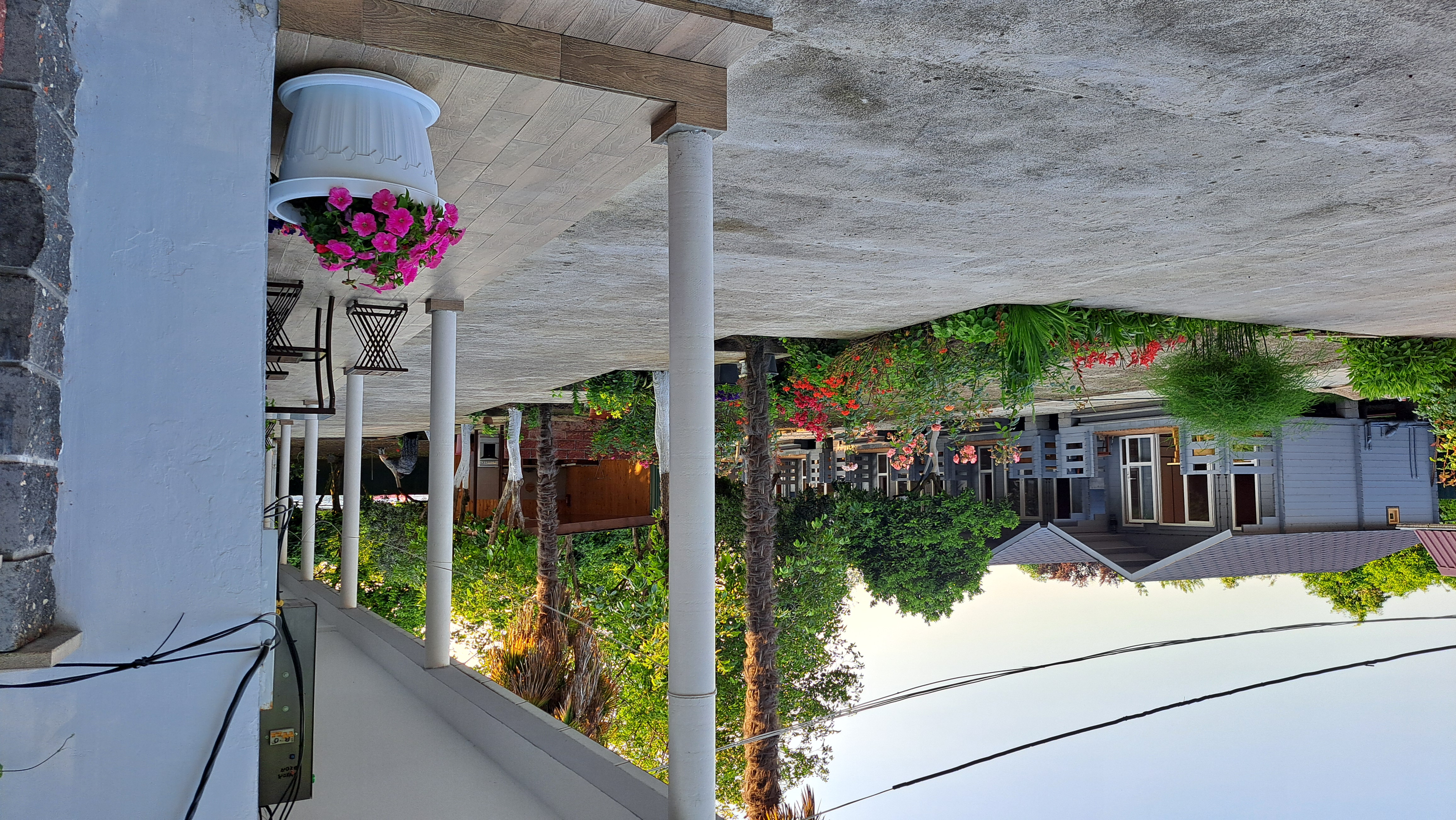 ДАНИЕЛЛА, Пицунда — фото 12