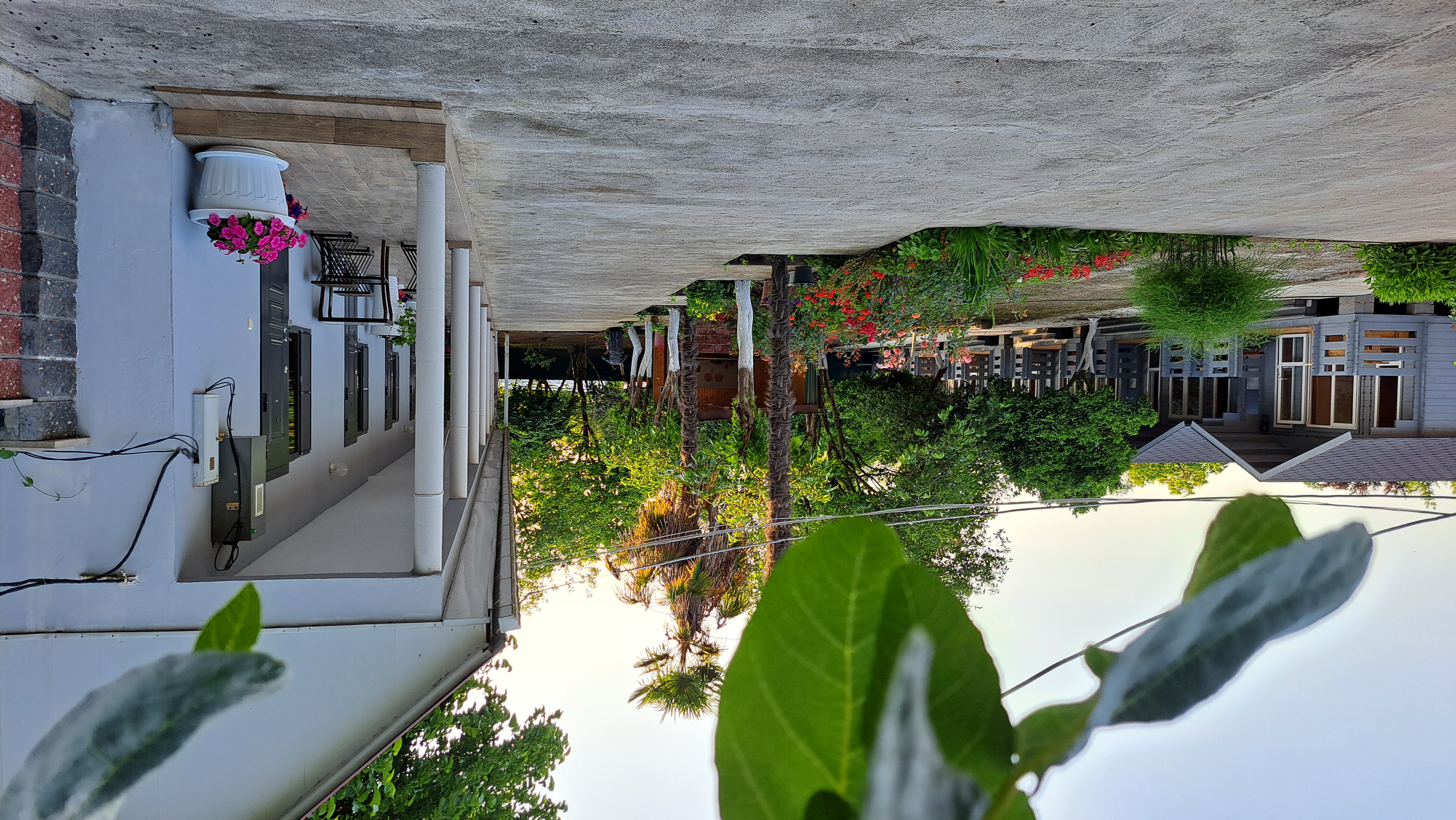 ДАНИЕЛЛА, Пицунда — фото 11