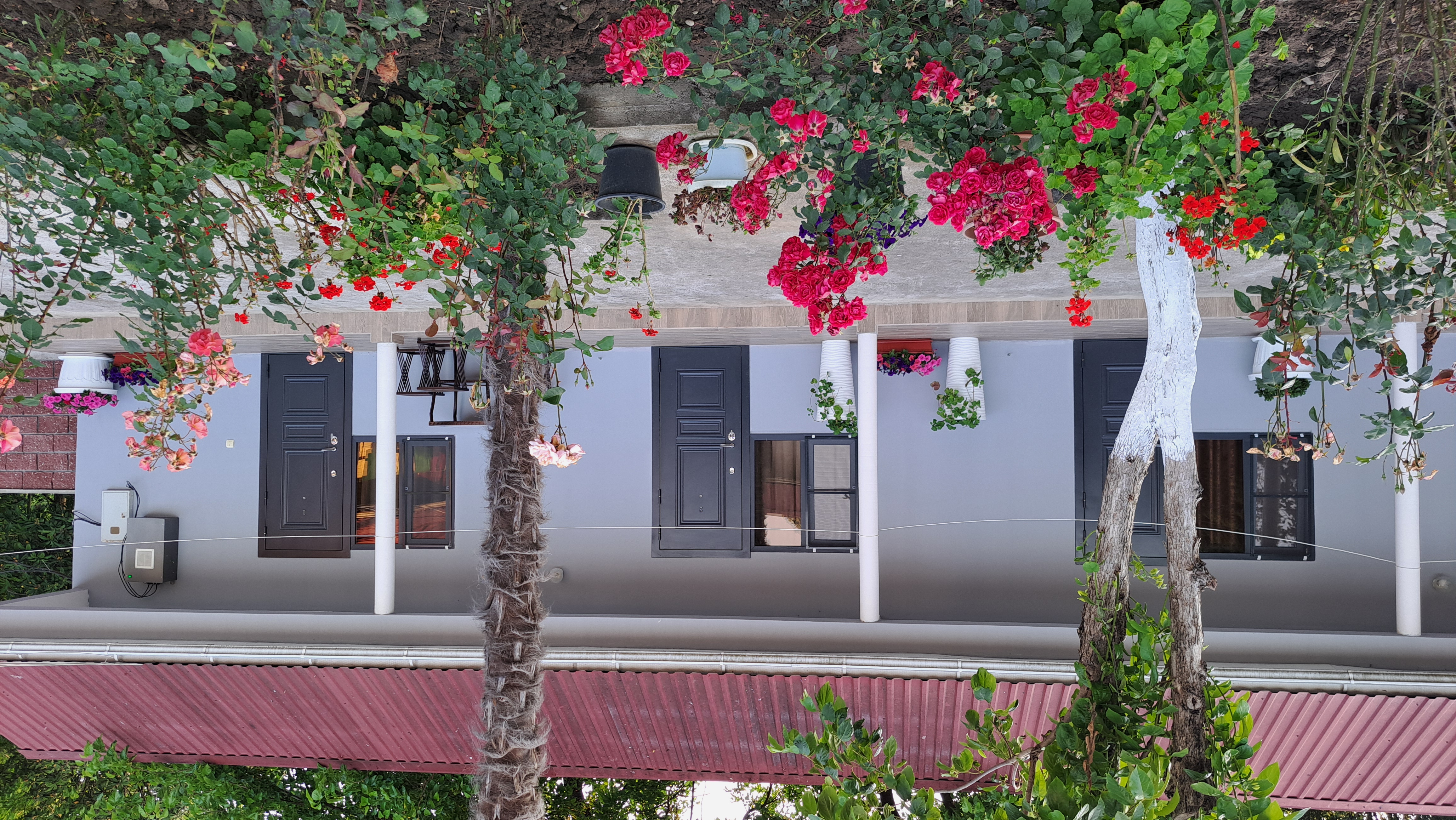 ДАНИЕЛЛА, Пицунда — фото 18