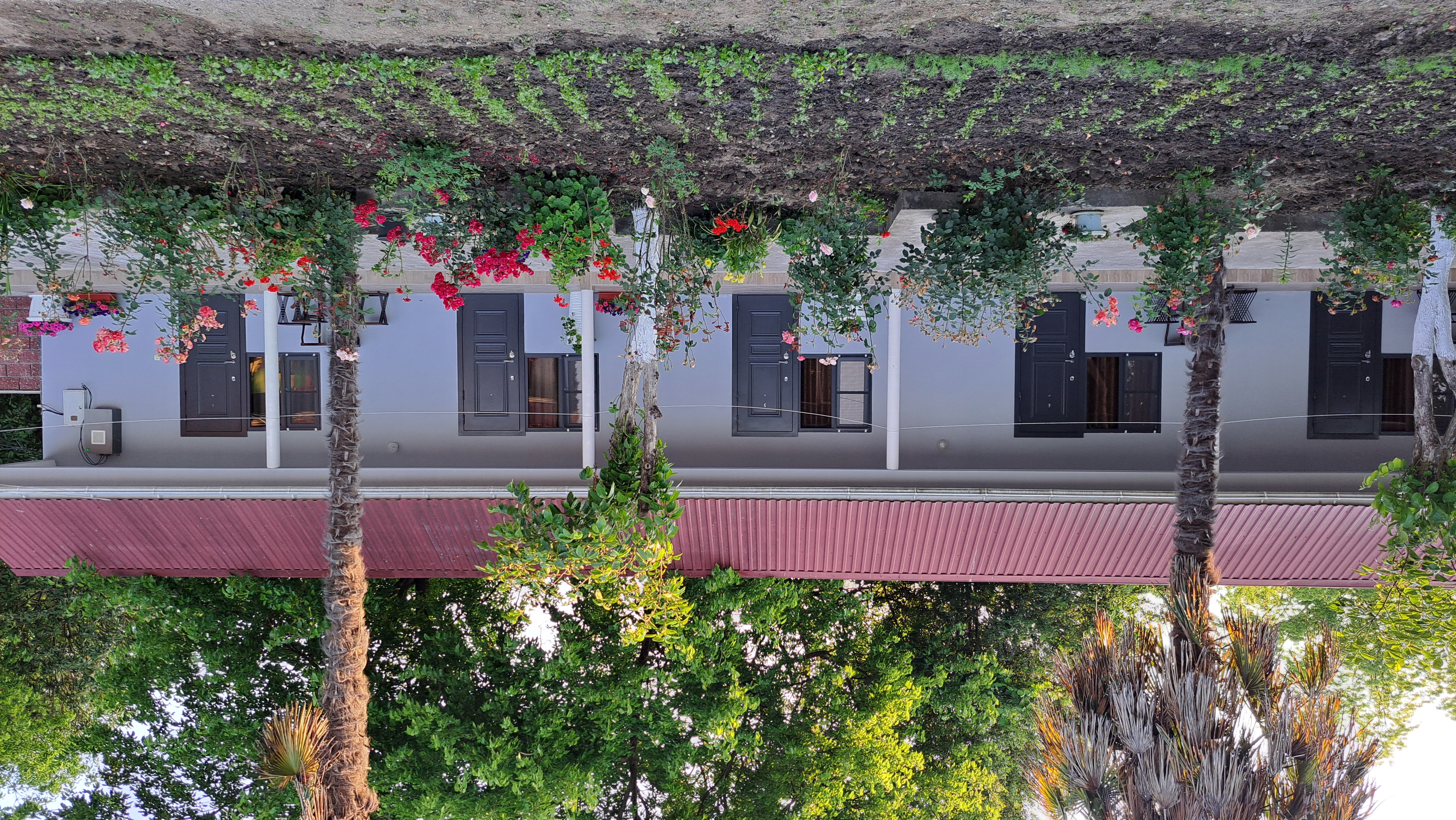 ДАНИЕЛЛА, Пицунда — фото 27