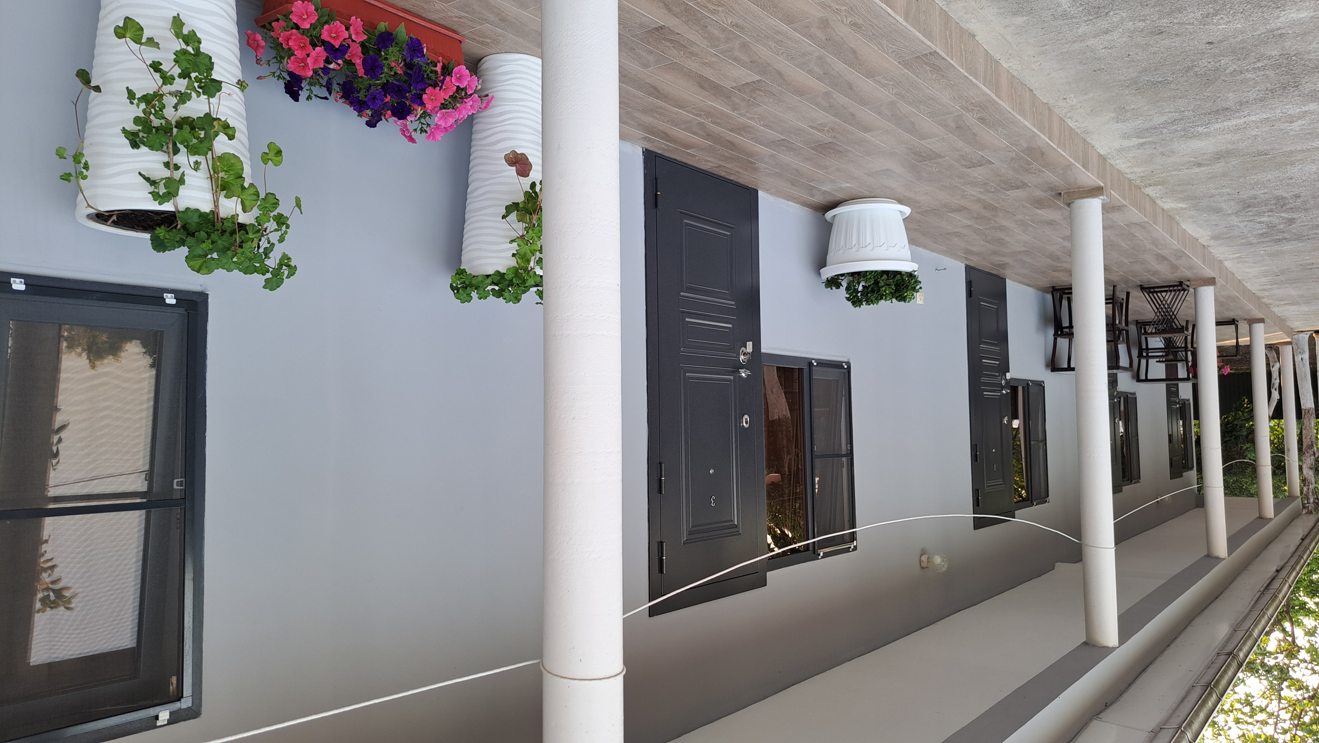 ДАНИЕЛЛА, Пицунда — фото 17