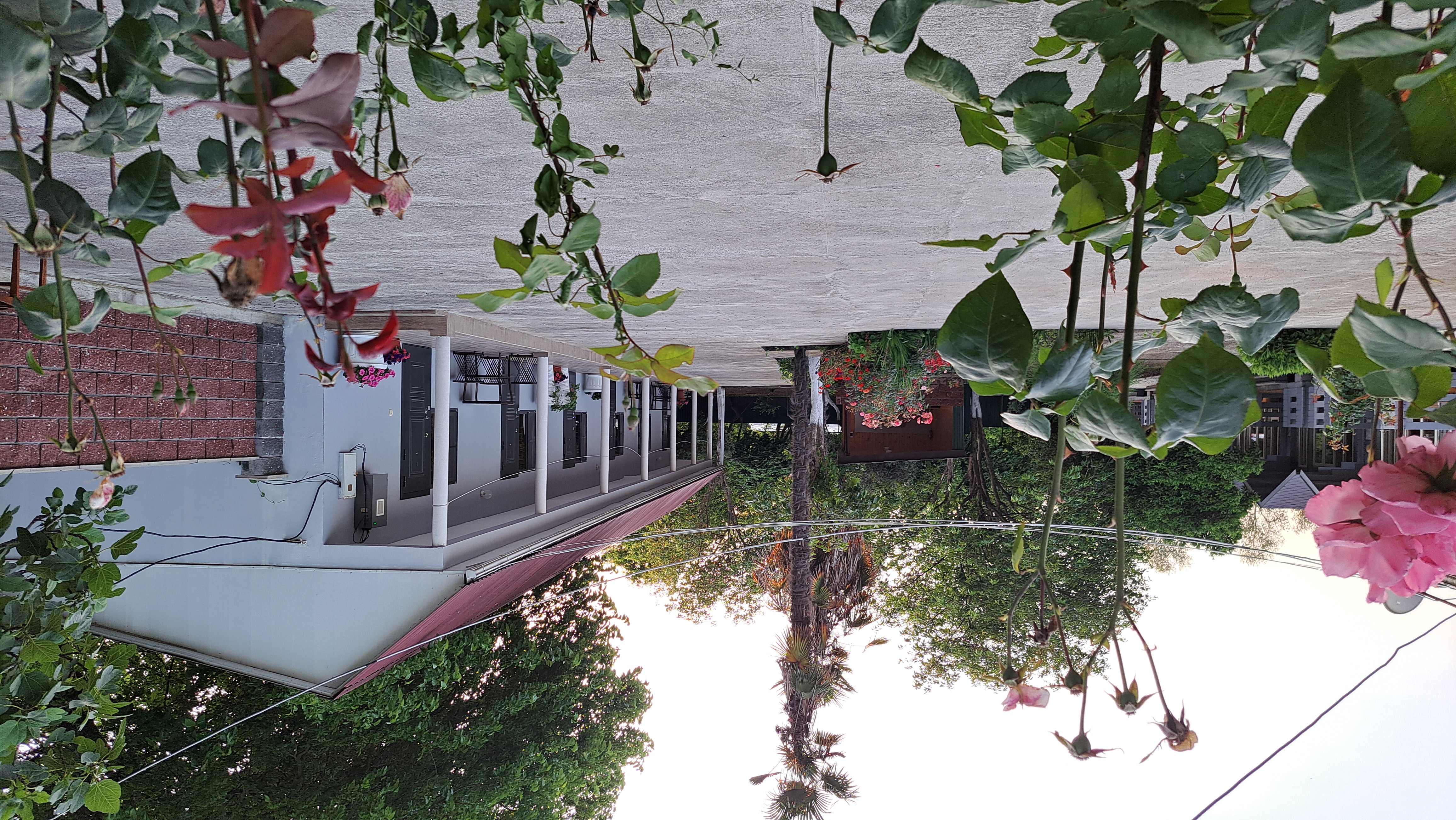 ДАНИЕЛЛА, Пицунда — фото 14