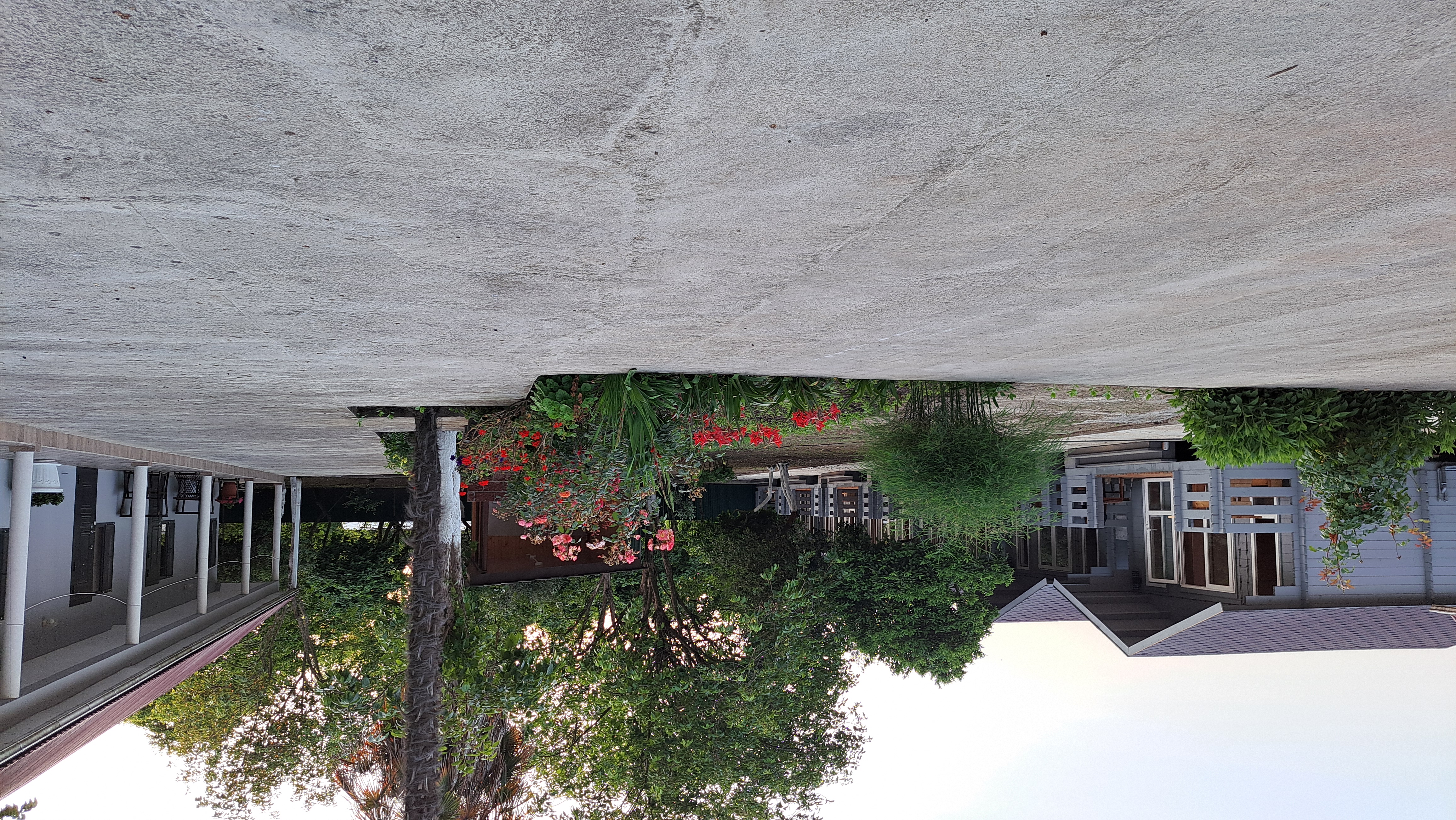 ДАНИЕЛЛА, Пицунда — фото 26