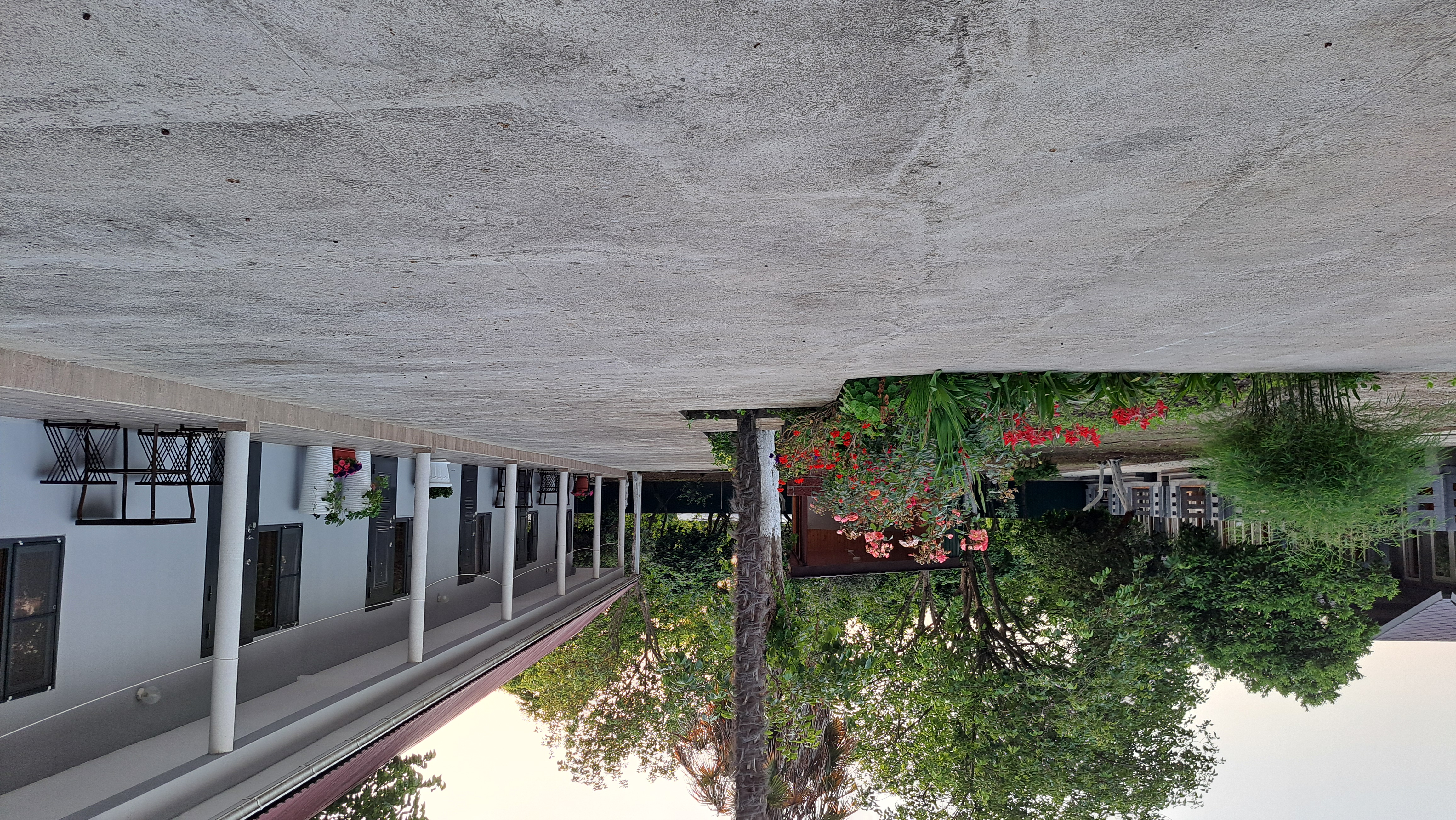 ДАНИЕЛЛА, Пицунда — фото 13