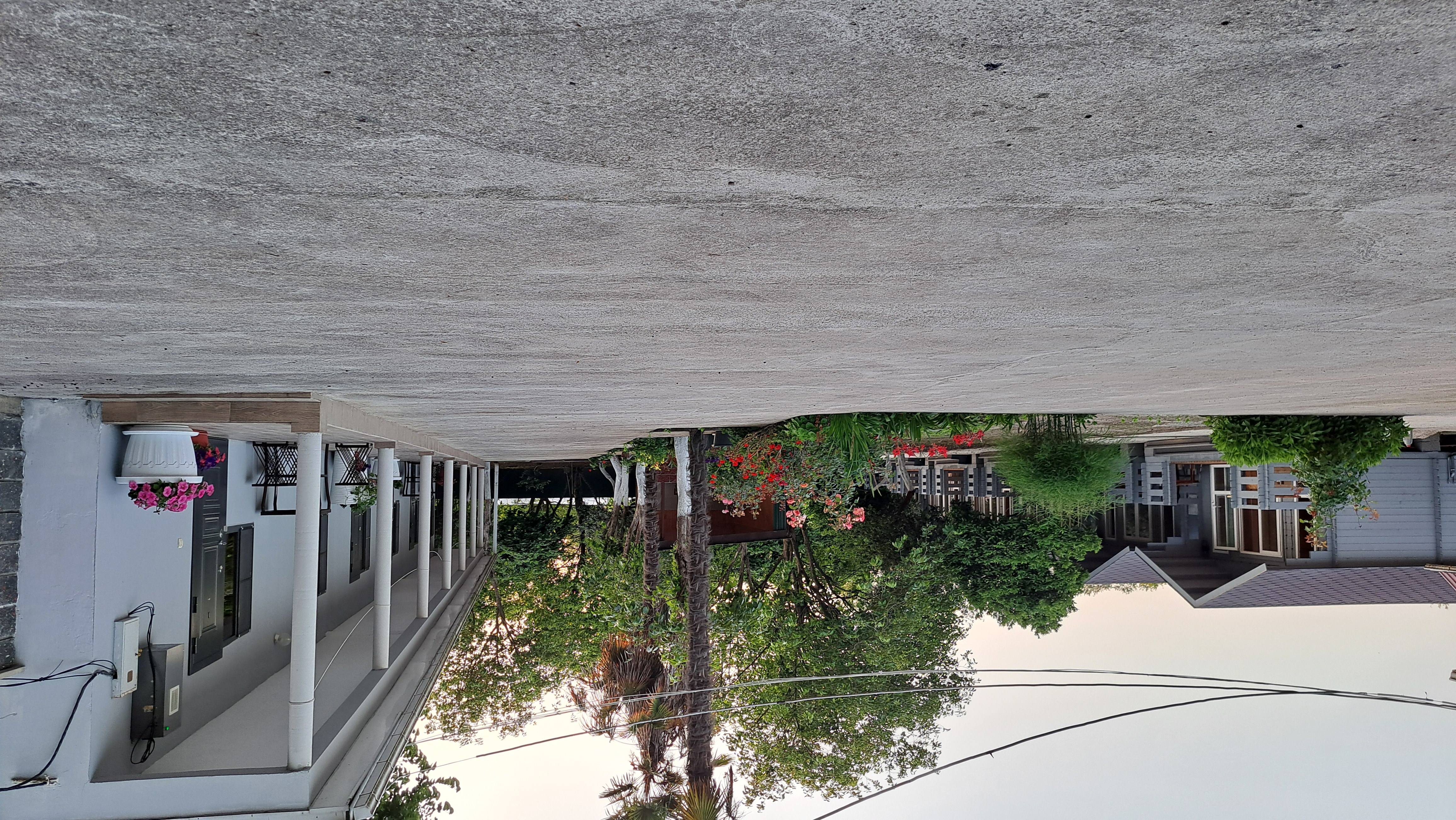 ДАНИЕЛЛА, Пицунда — фото 1