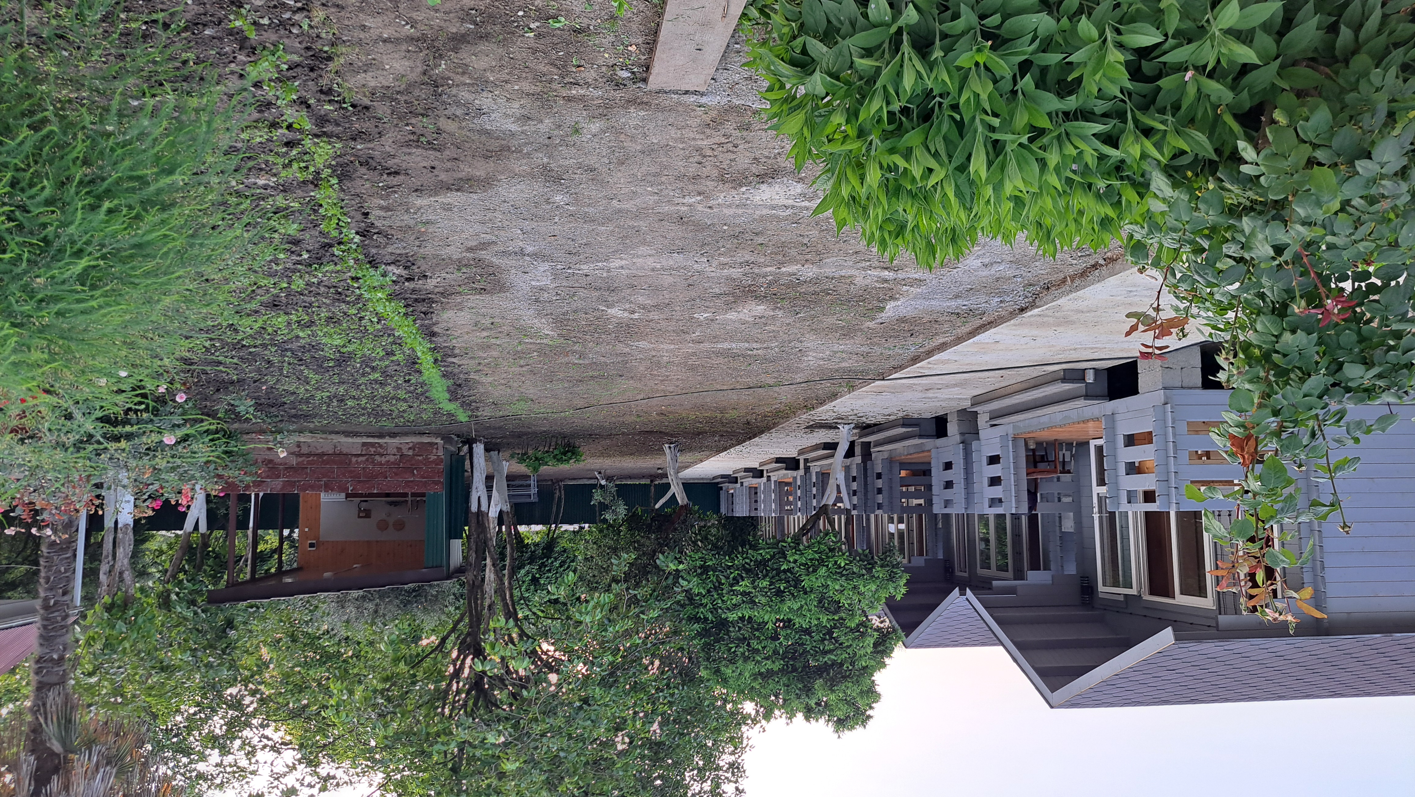 ДАНИЕЛЛА, Пицунда — фото 25