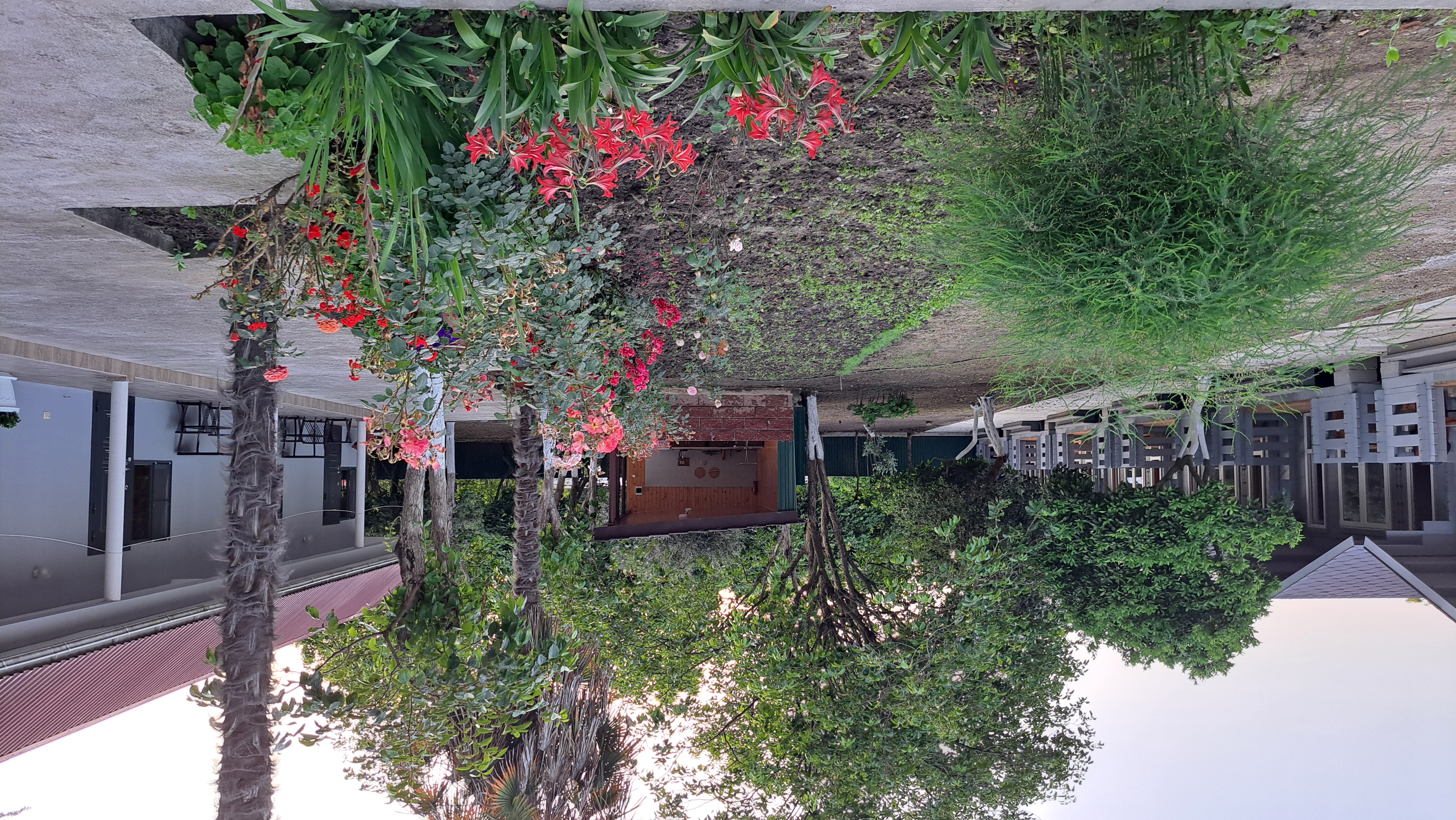 ДАНИЕЛЛА, Пицунда — фото 24