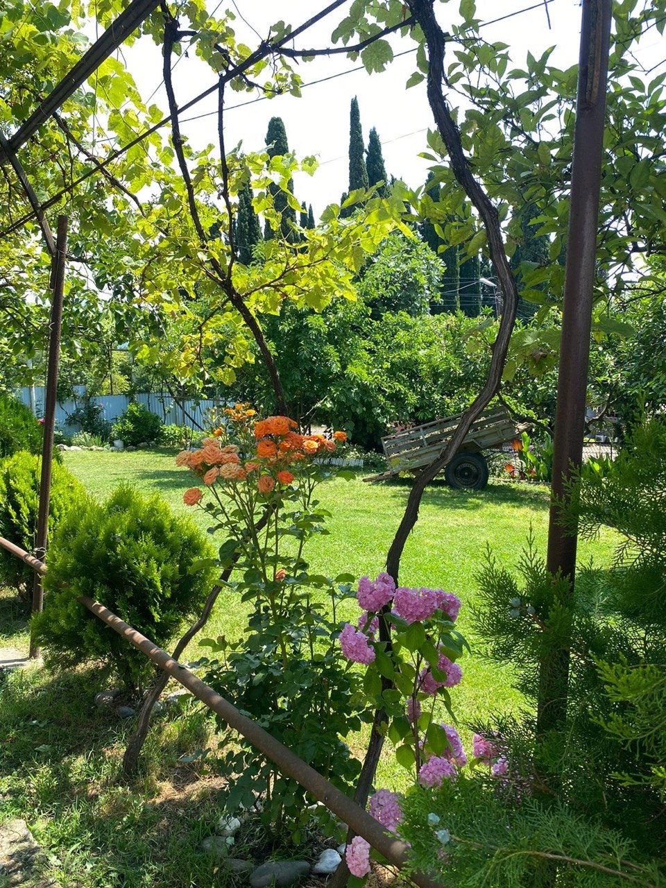 Комнаты в частном секторе у моря, Приморское — фото 2