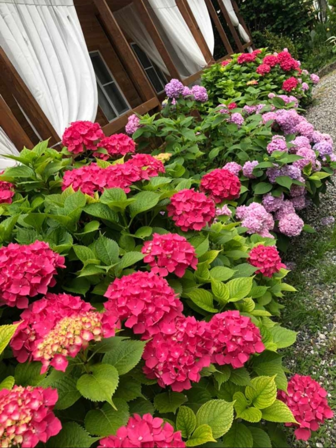 База отдыха Ахан, Гагра — фото 26