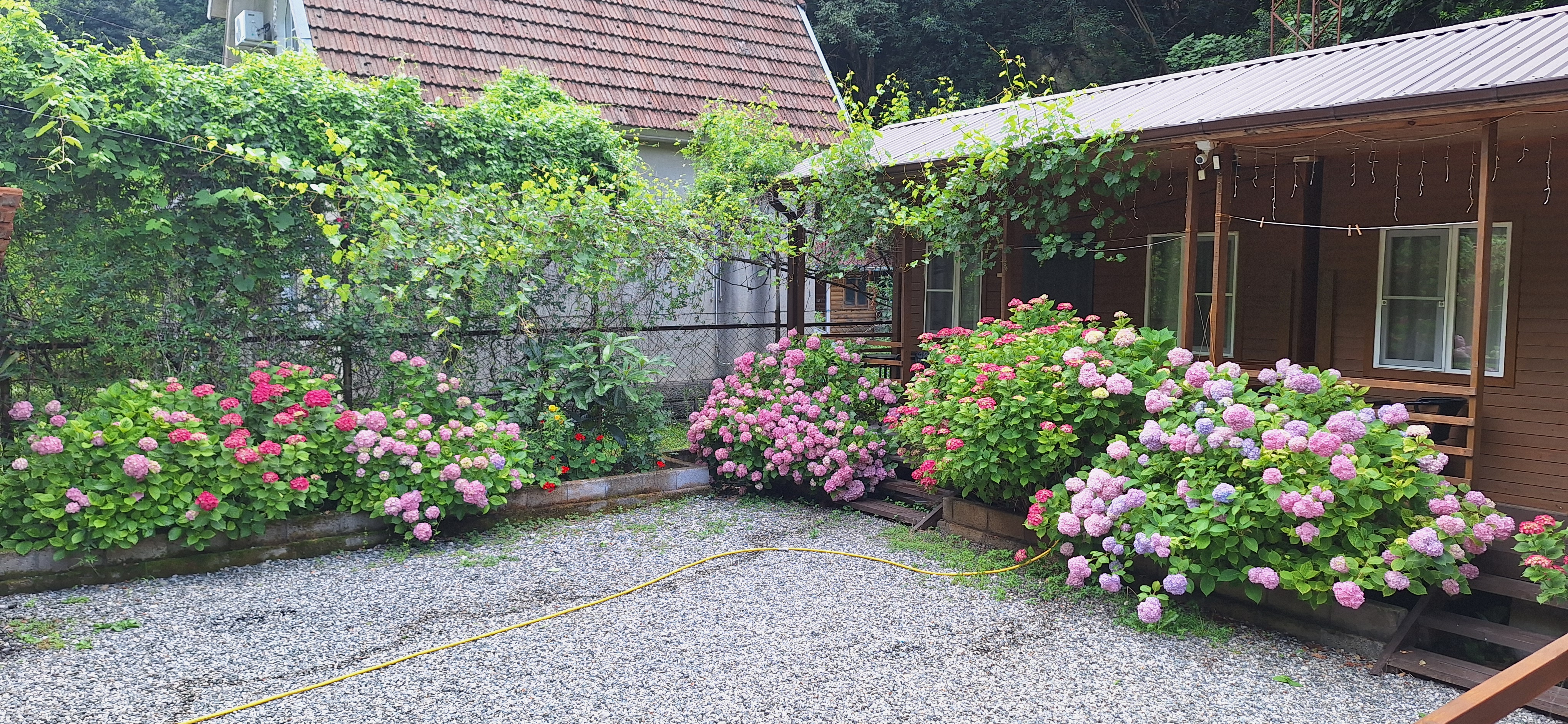 База отдыха Ахан, Гагра — фото 25