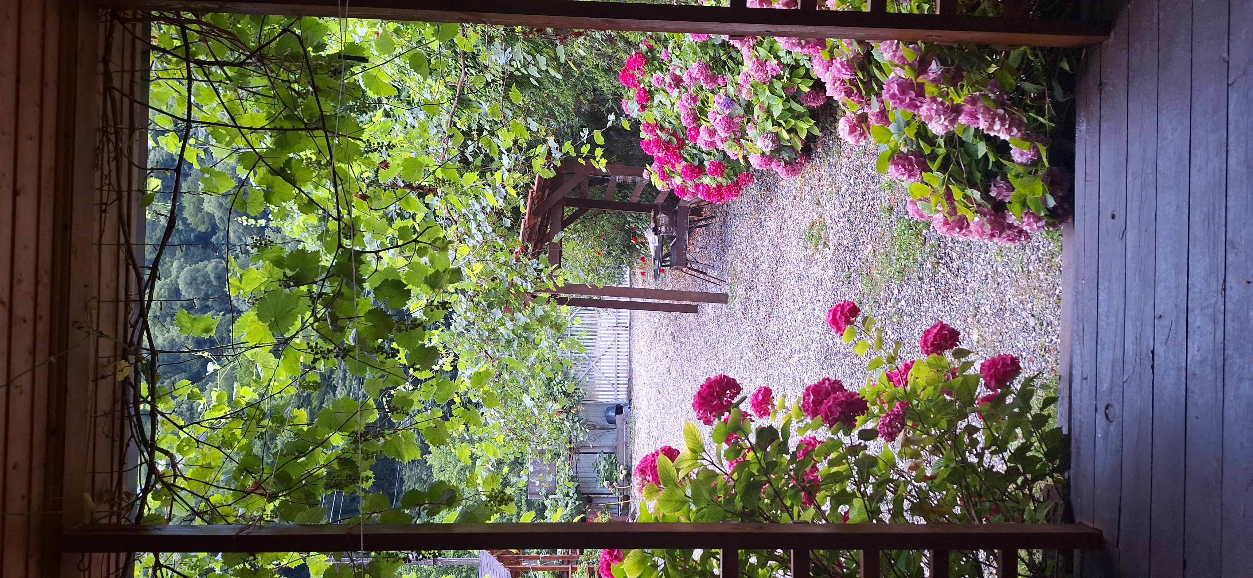 База отдыха Ахан, Гагра — фото 31