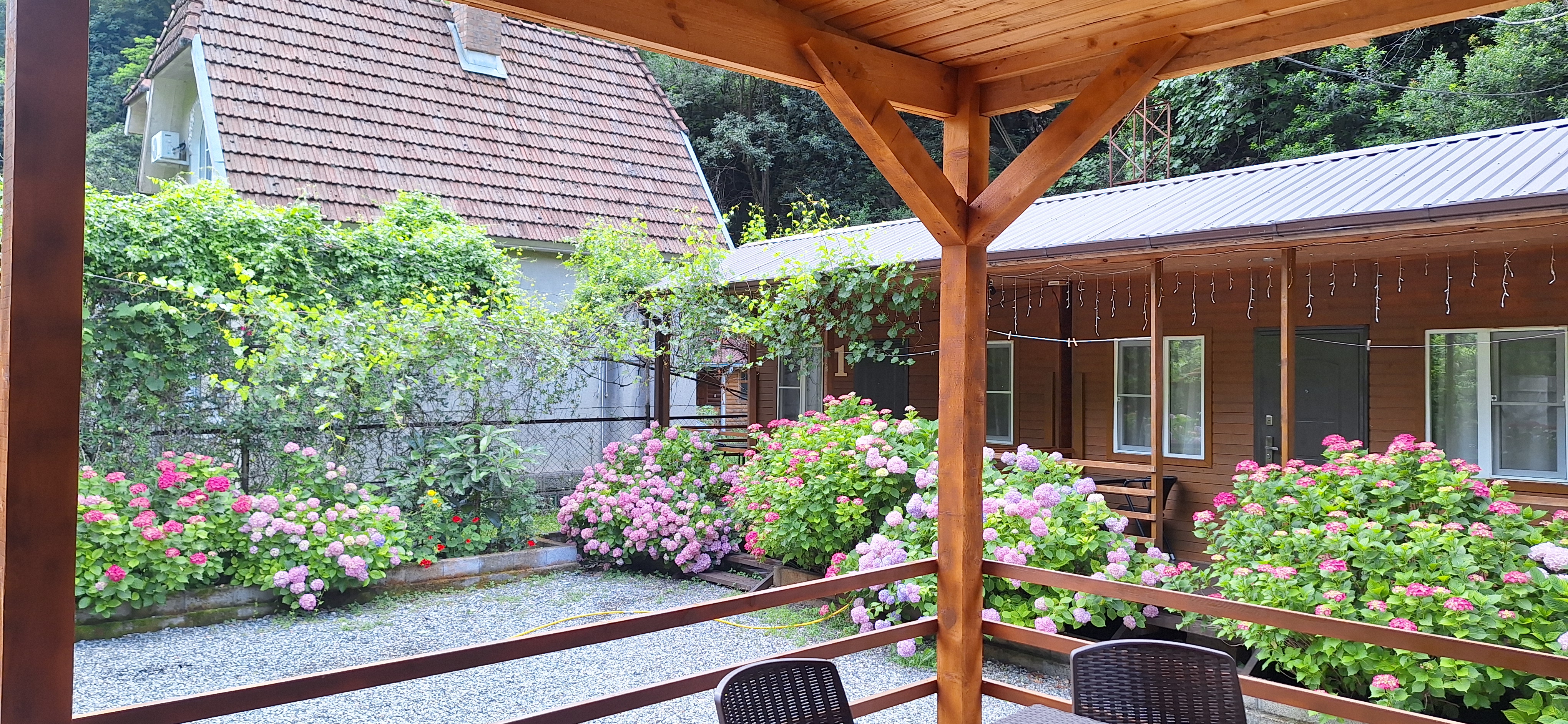 База отдыха Ахан, Гагра — фото 30