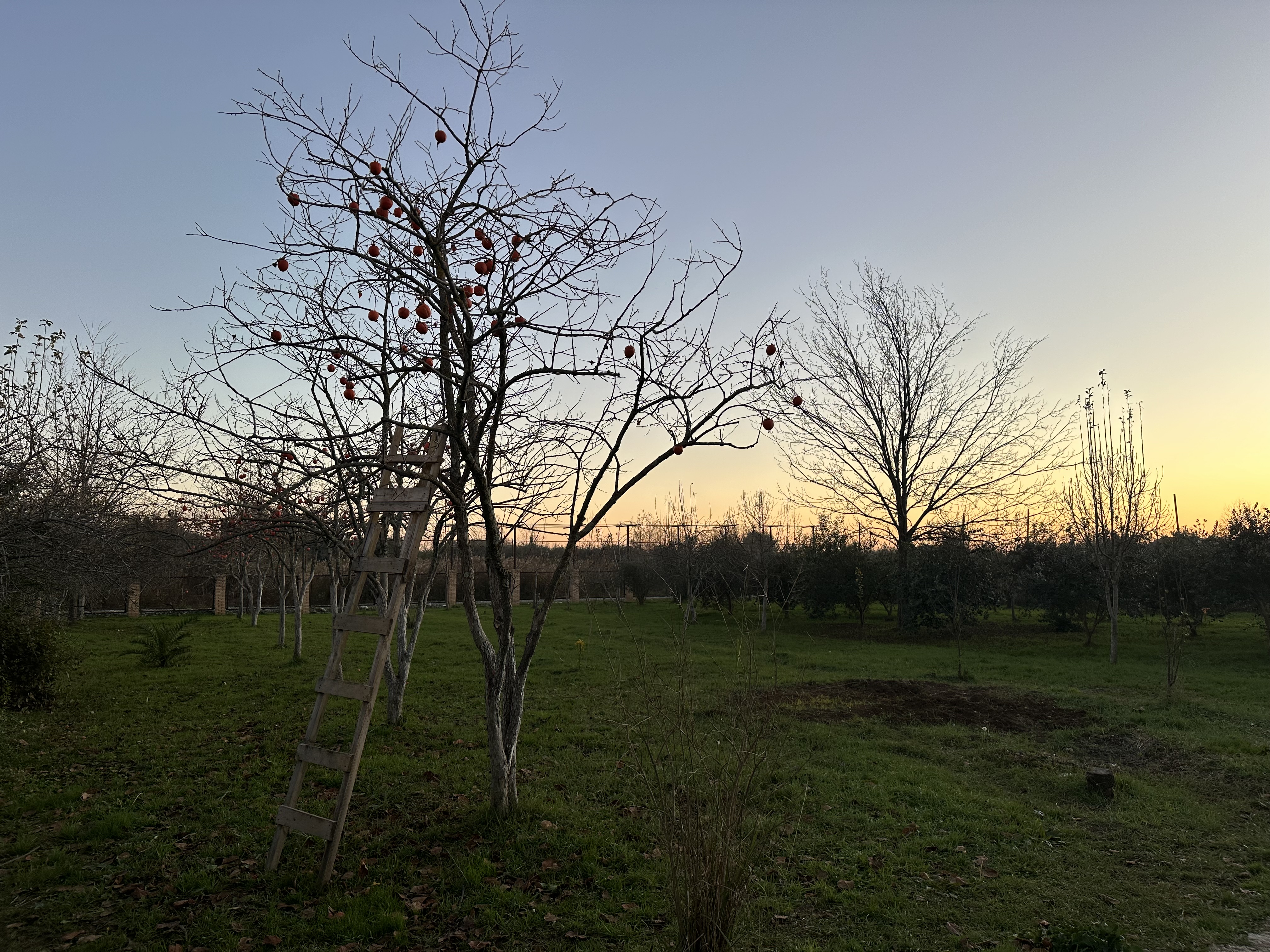 Ахан, Гагра — фото 23