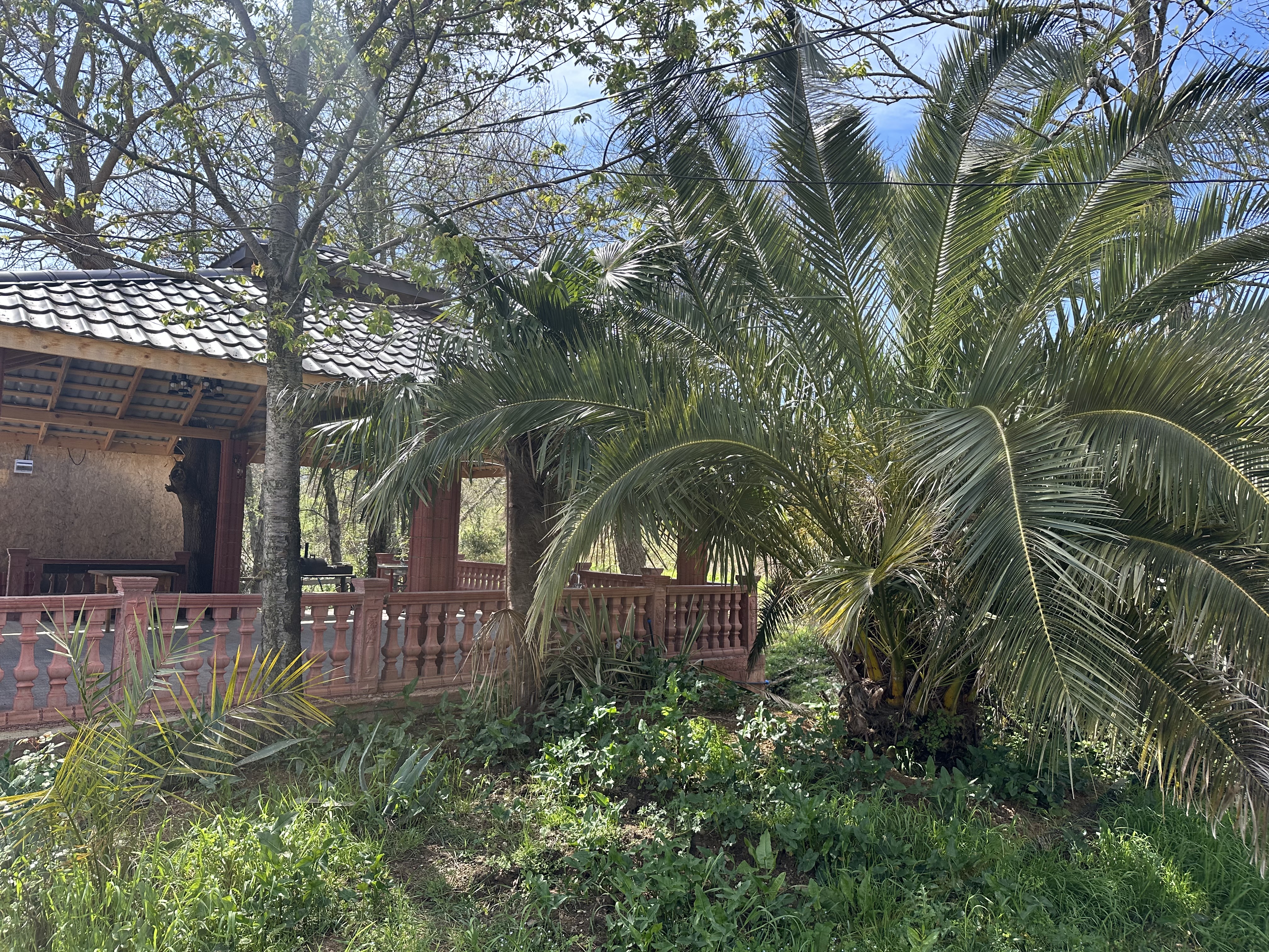 Ахан, Гагра — фото 24