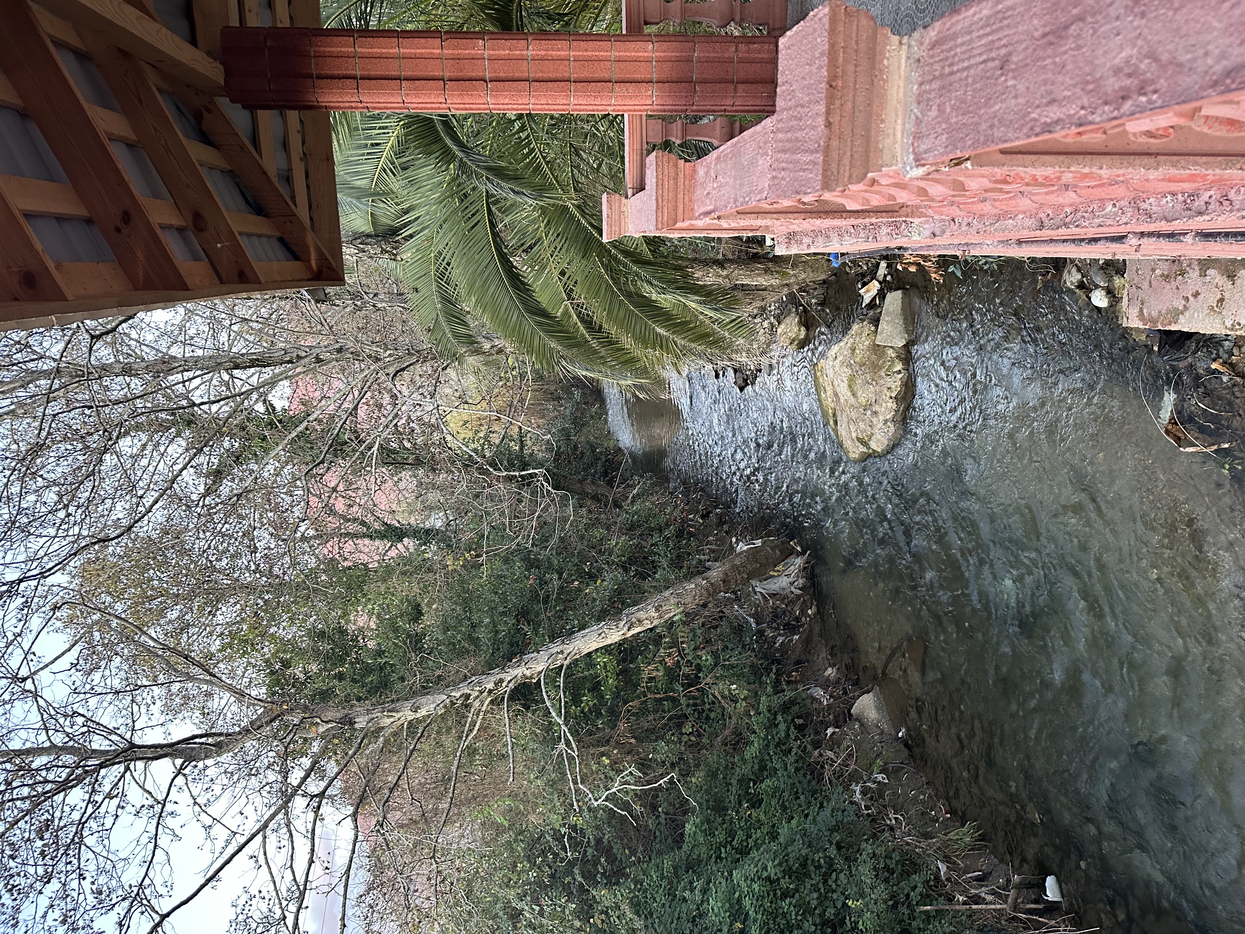 Ахан, Гагра — фото 22