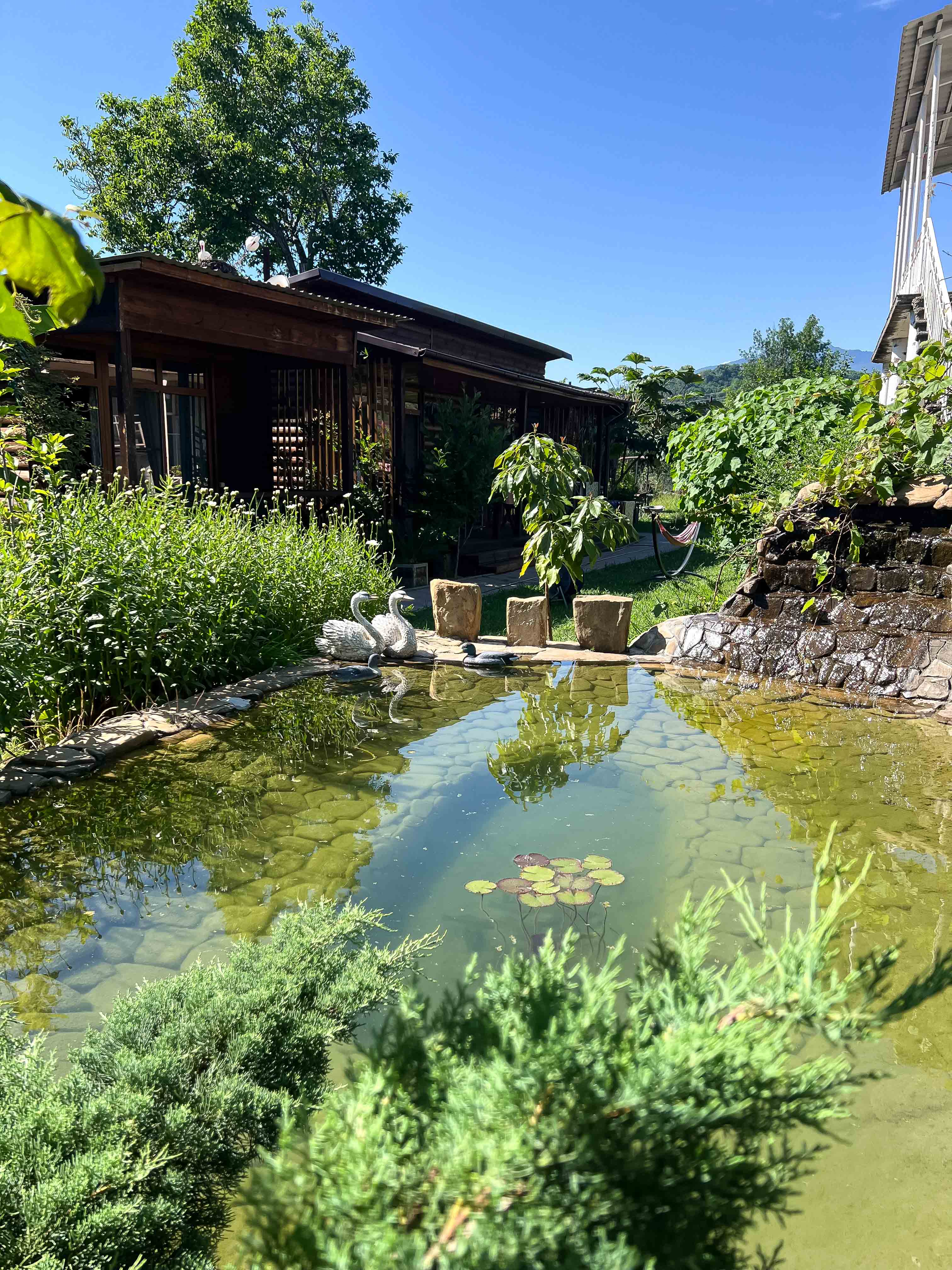 Зеленый Двор, Лдзаа — фото 3