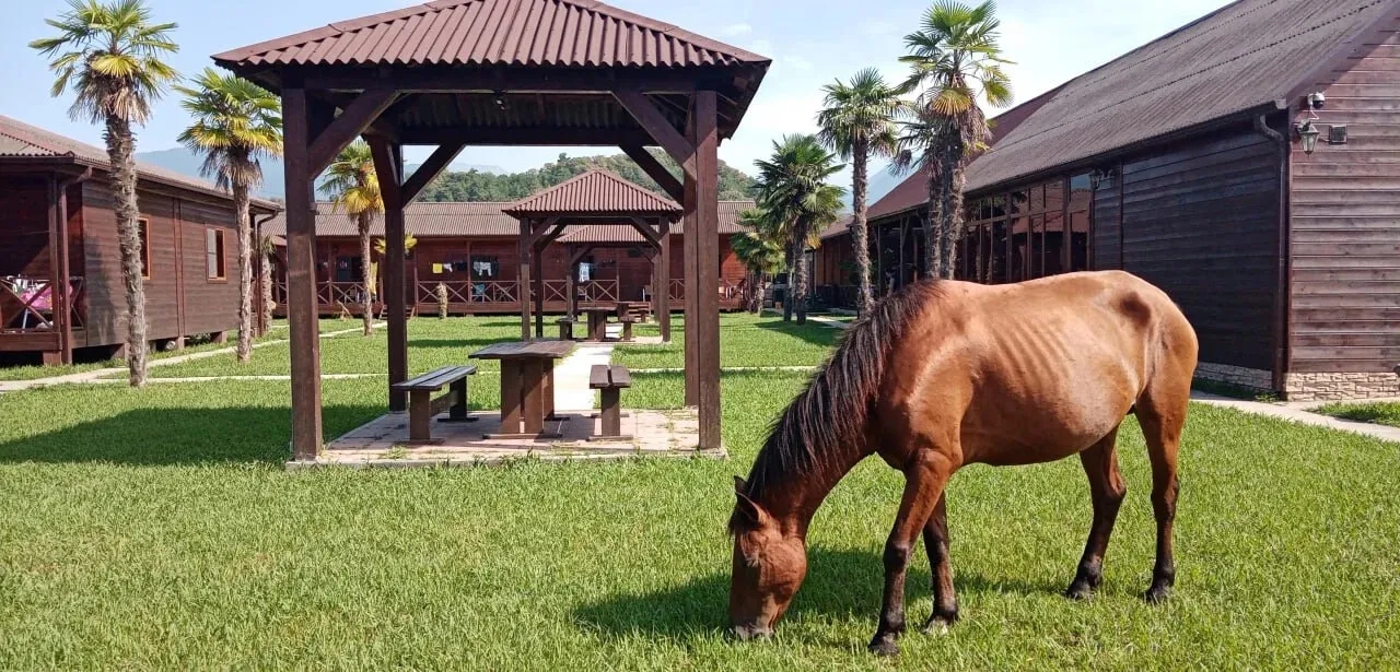 Гостевой дом "Лдзаа", Лдзаа — фото 1