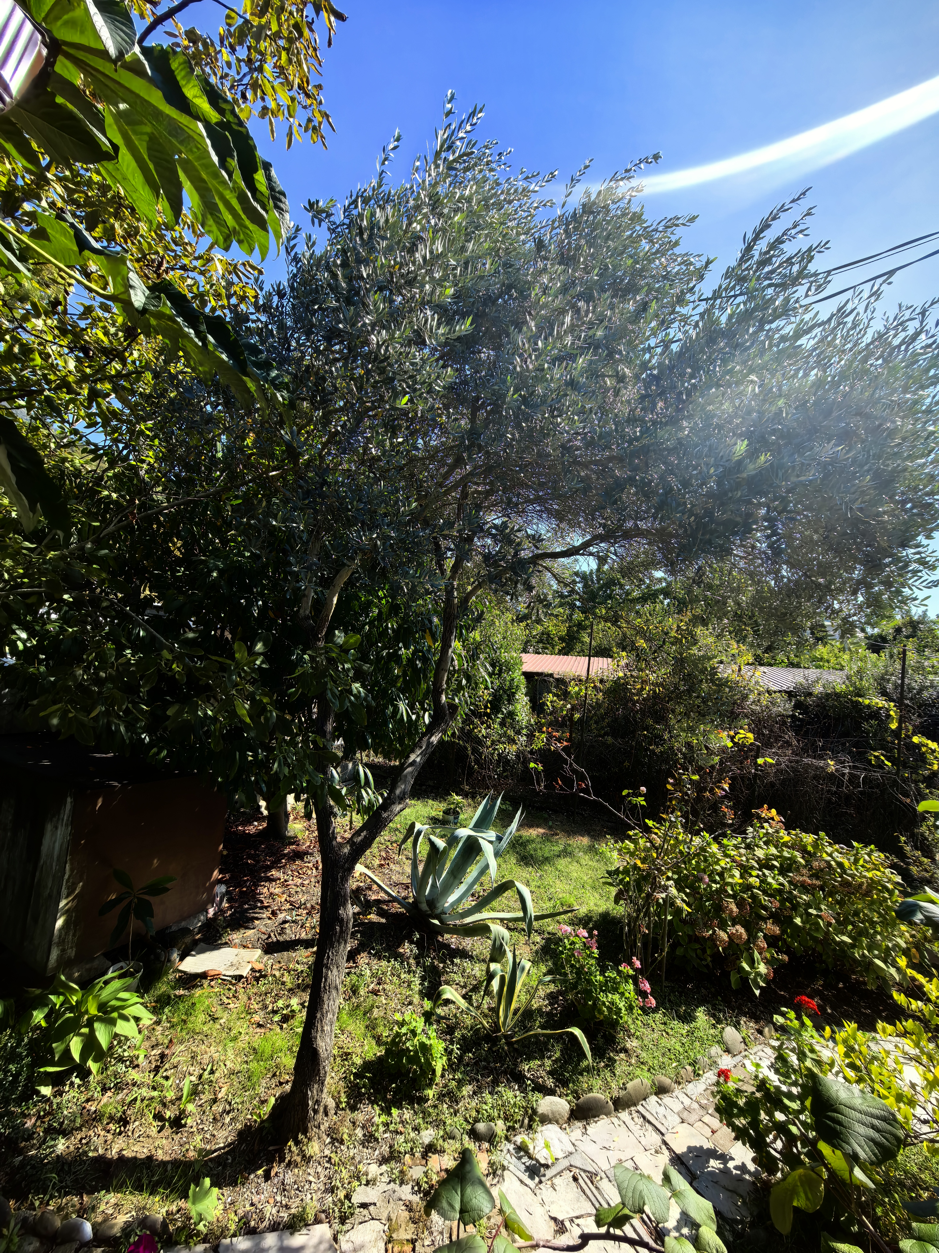 У Мирославы и Аарона, Гагра — фото 8