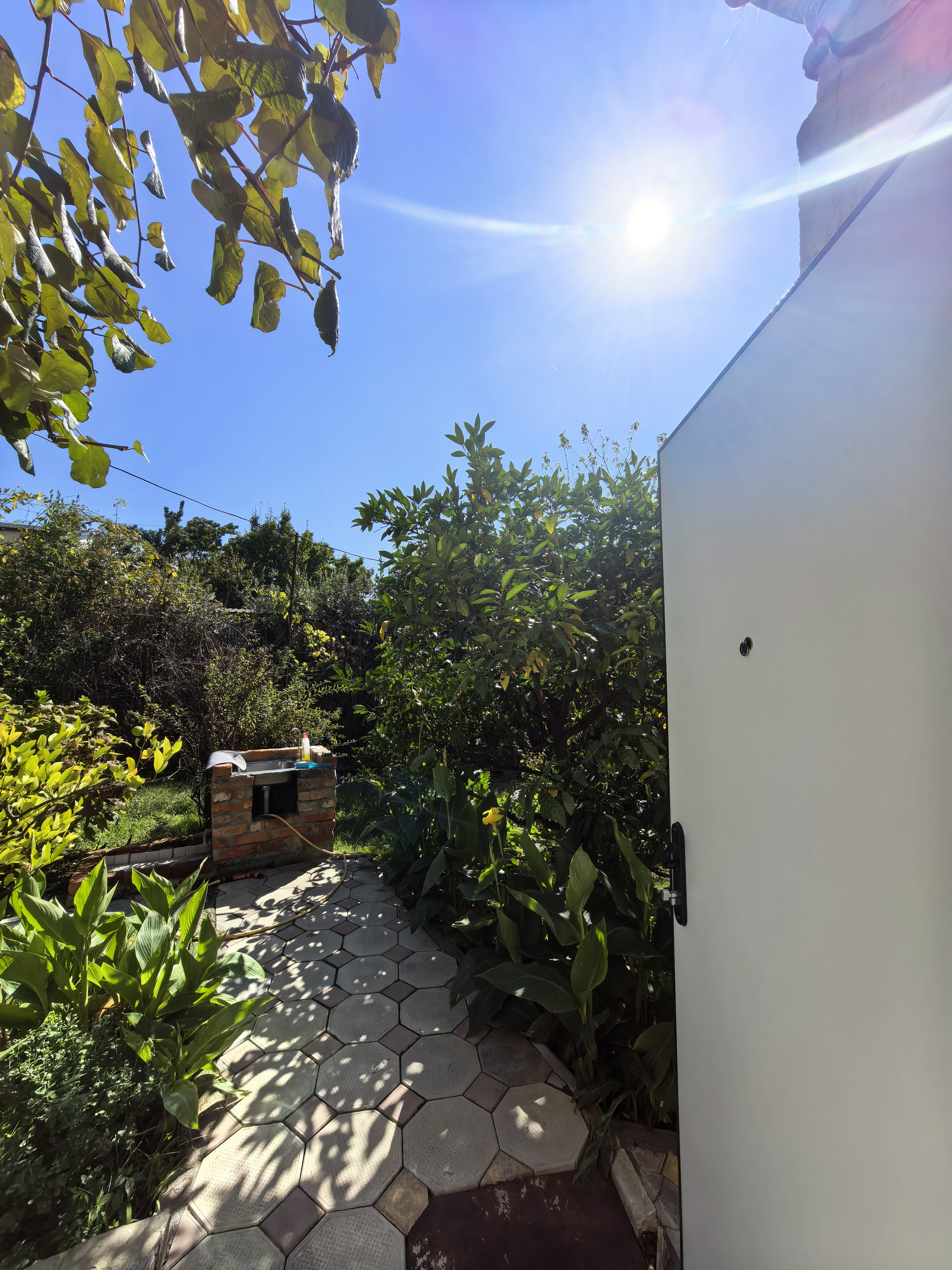 У Мирославы и Аарона, Гагра — фото 4