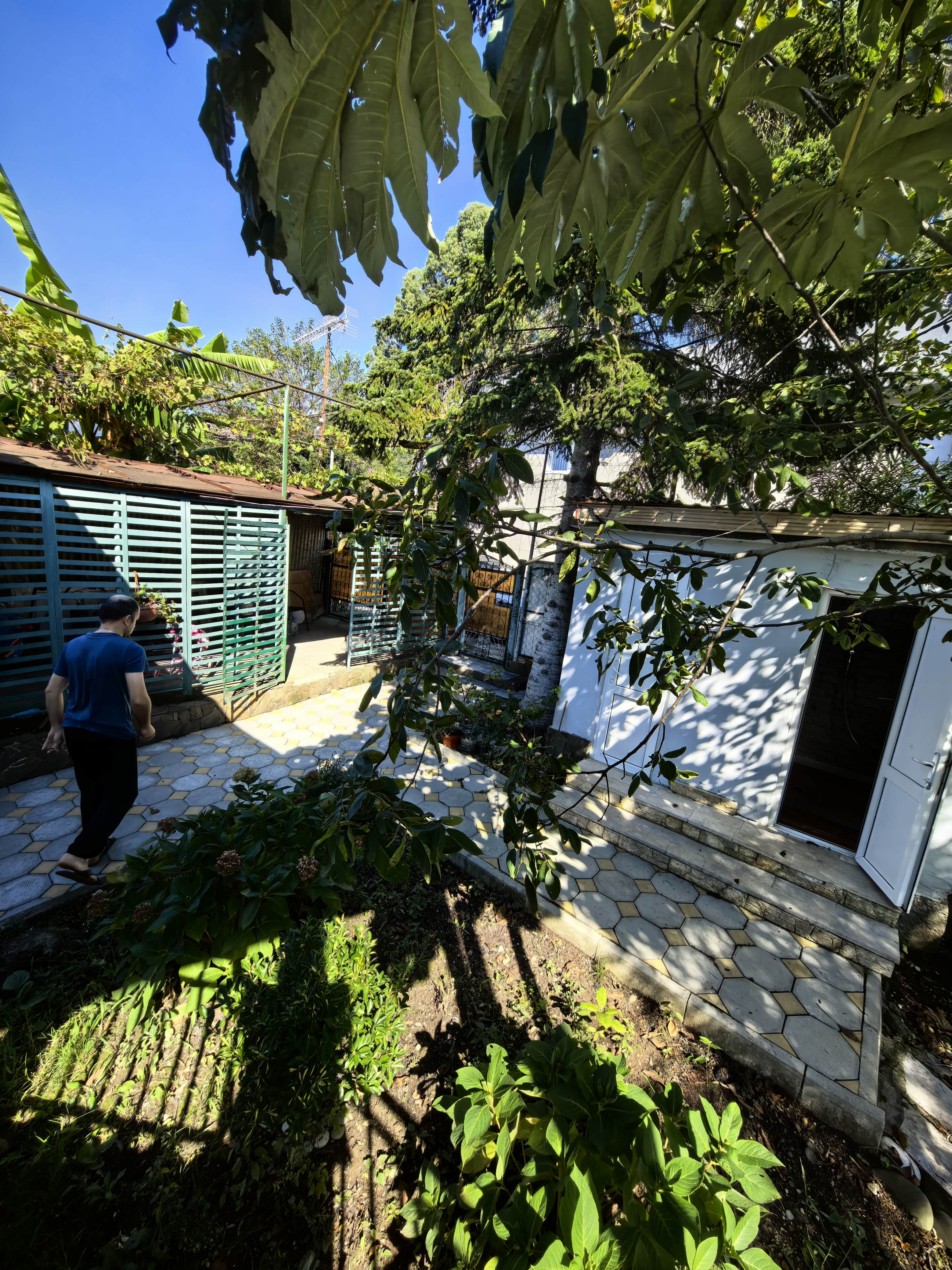 У Мирославы и Аарона, Гагра — фото 10