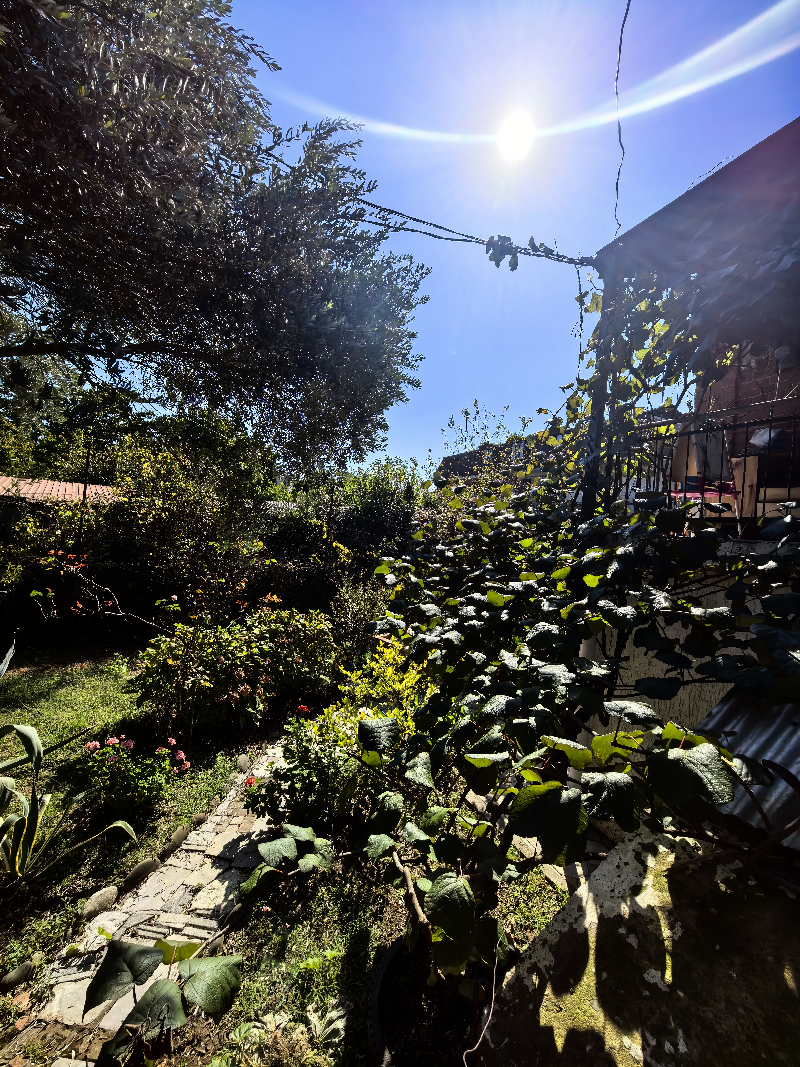 У Мирославы и Аарона, Гагра — фото 9