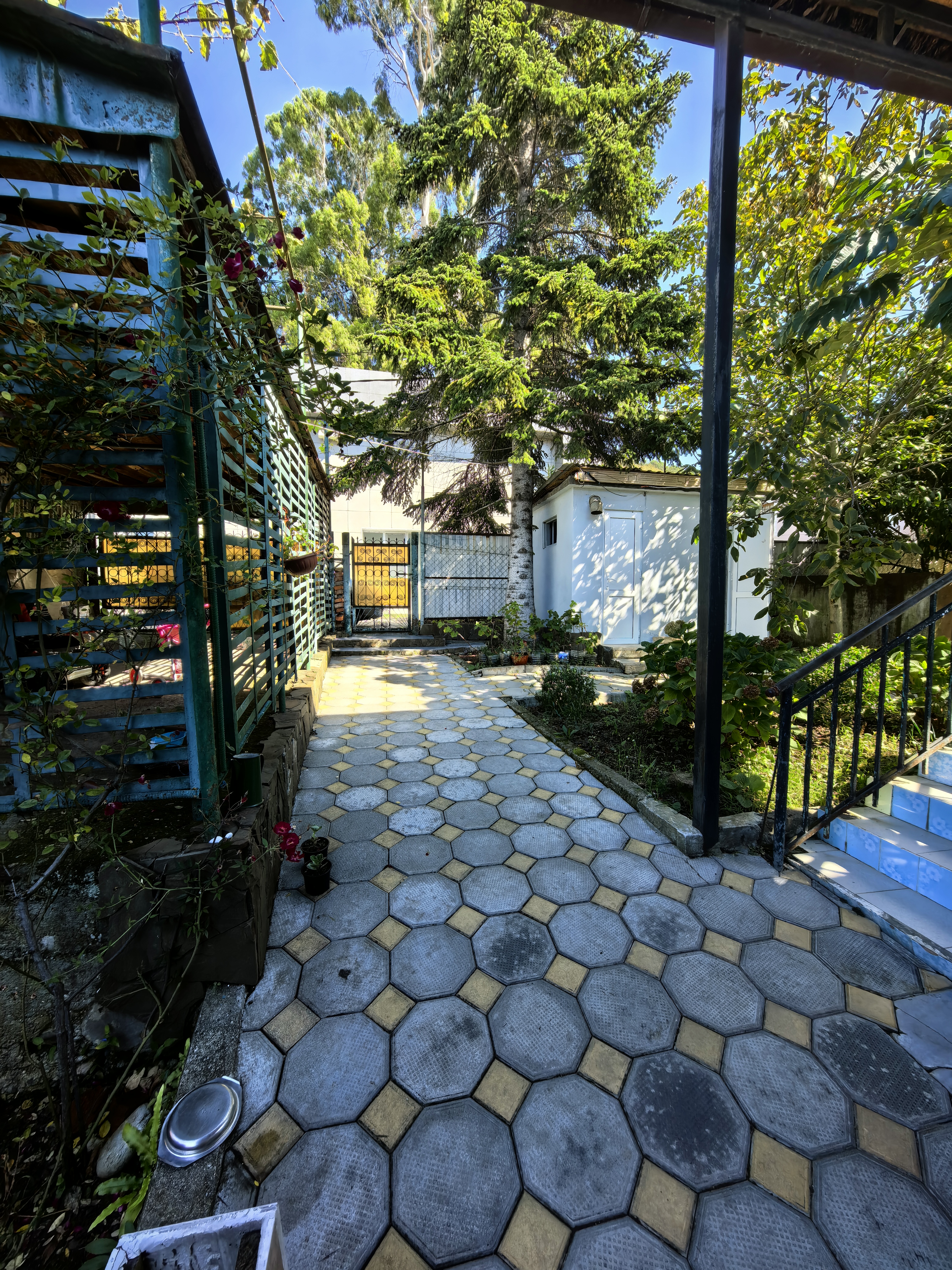 У Мирославы и Аарона, Гагра — фото 11