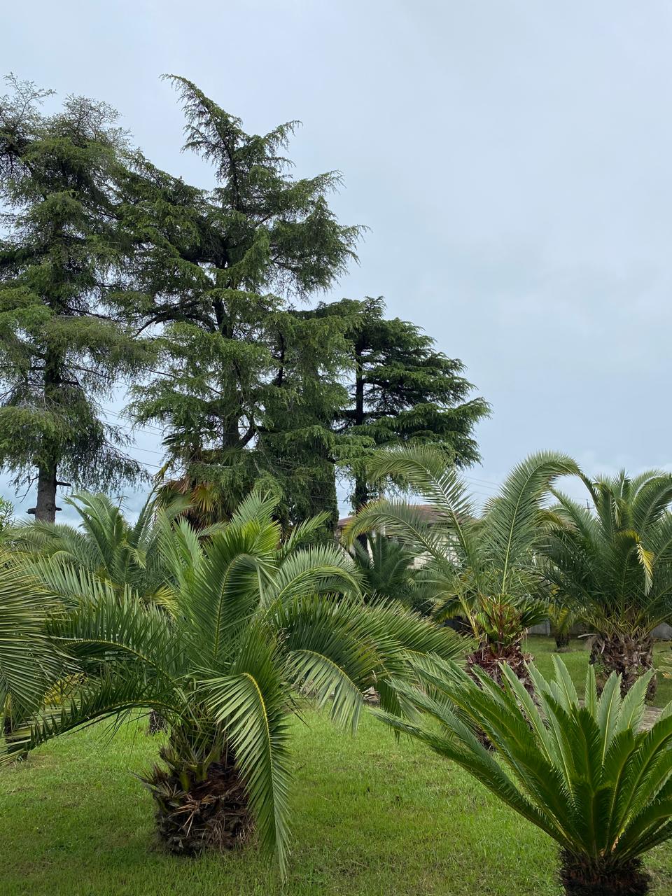 Парк-отель "Галина", Алахадзы — фото 28