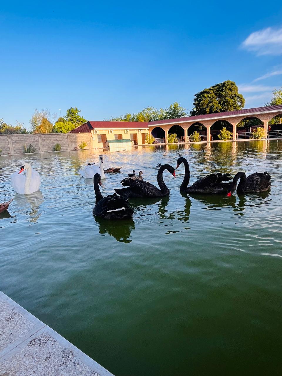 Парк-отель "Галина", Алахадзы — фото 29